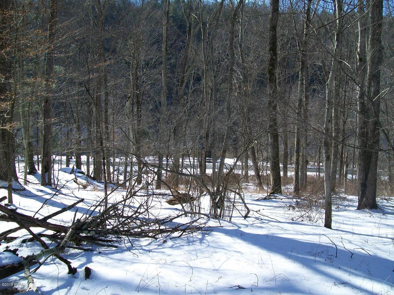 Lot 26 Towpath Road Hawley, PA 18428 - Photo 14 of 14
