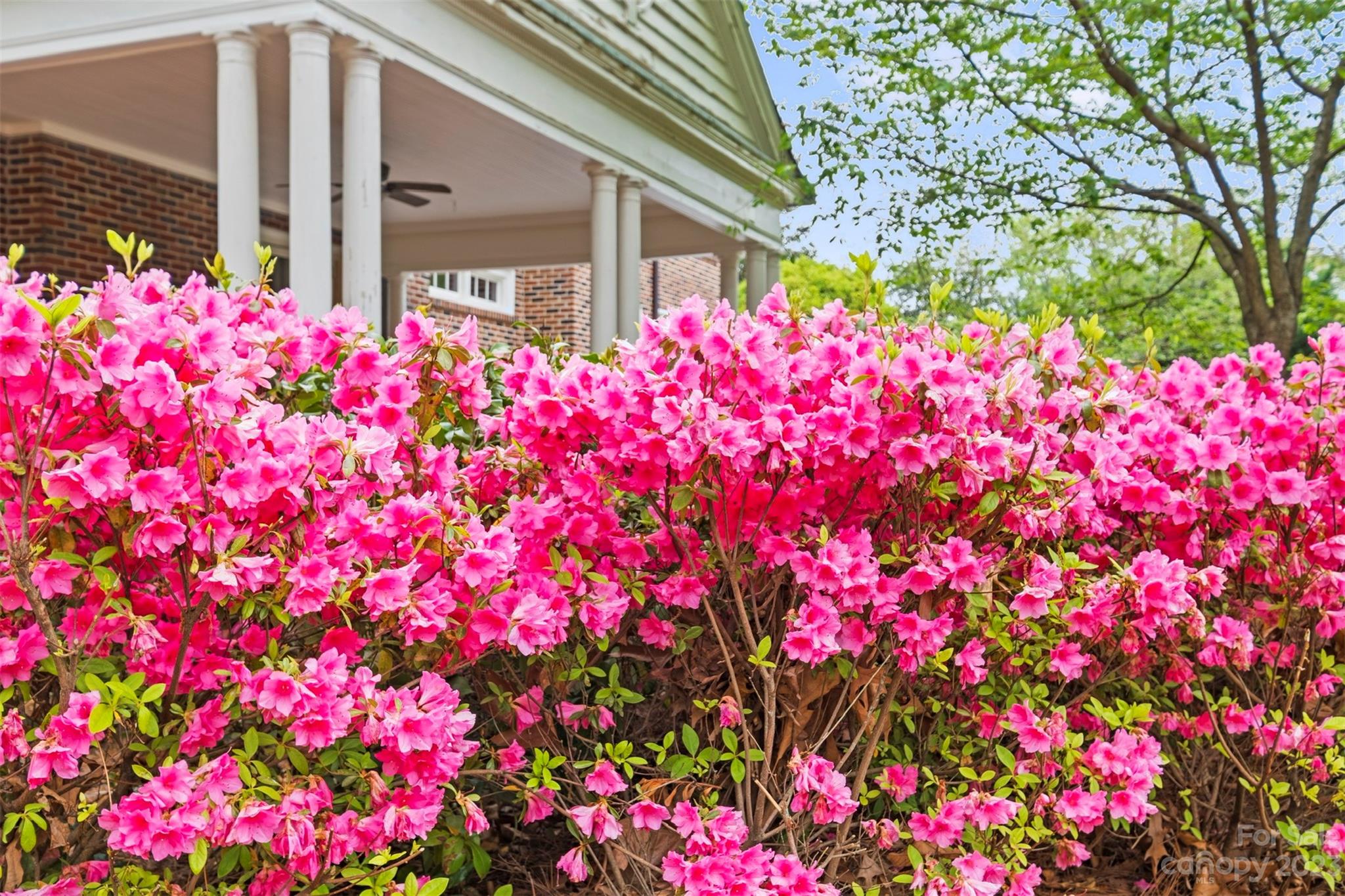 1515 Dilworth Road Charlotte, NC 28203 - Photo 47 of 48