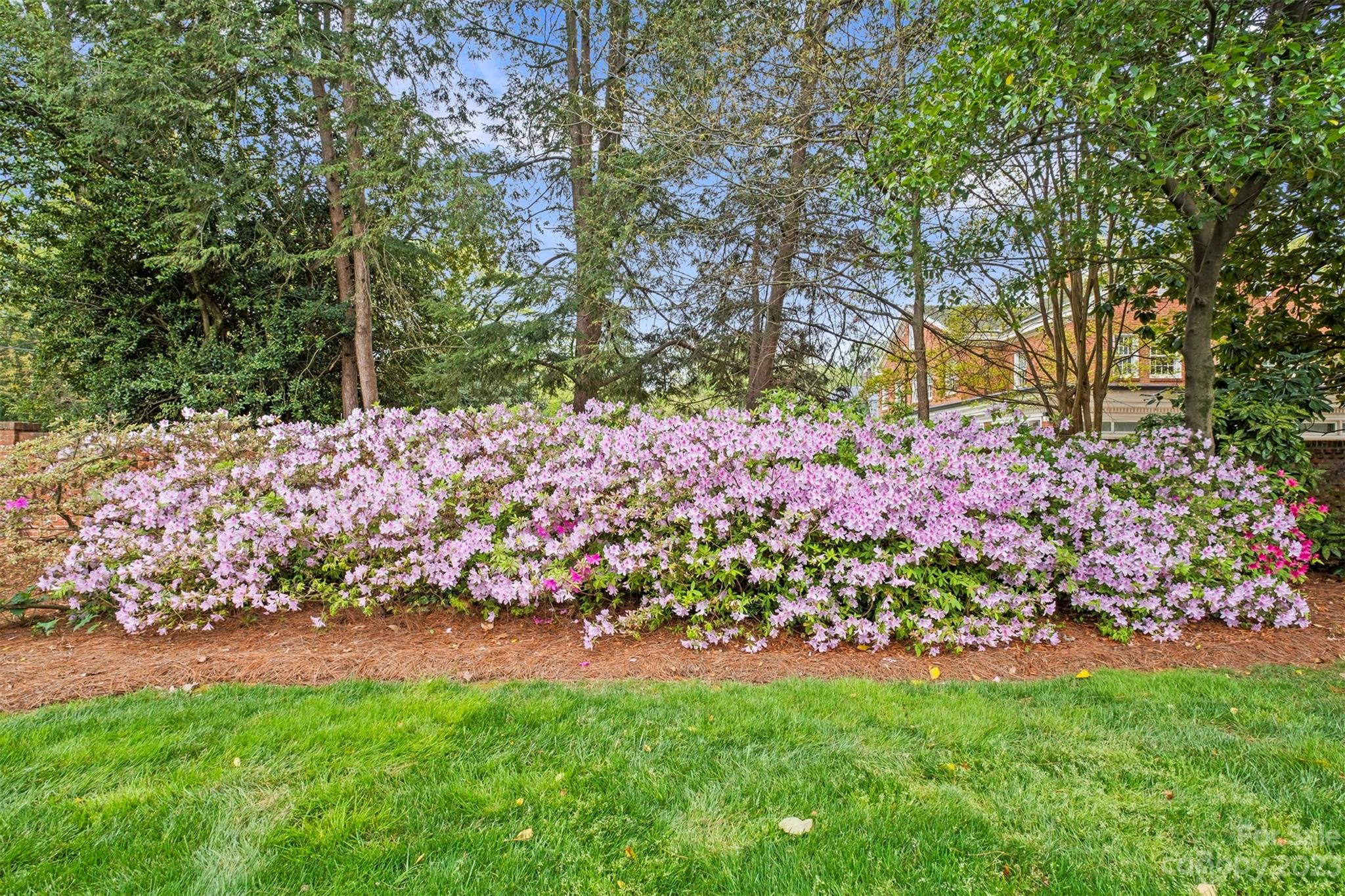 1515 Dilworth Road Charlotte, NC 28203 - Photo 48 of 48