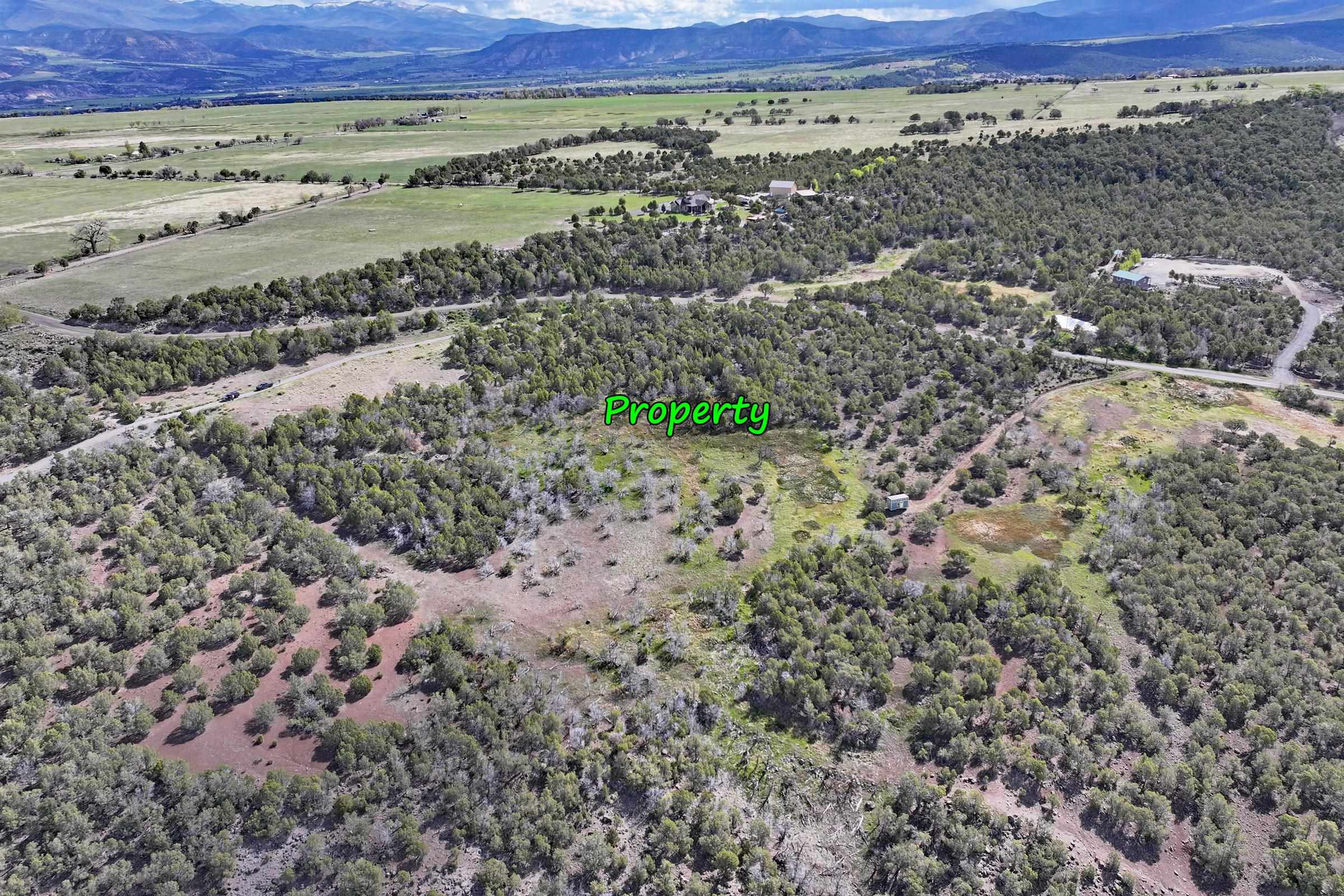 12705 55 Road Collbran, CO 81624 - Photo 5 of 31 a view of a big yard with beach and city view