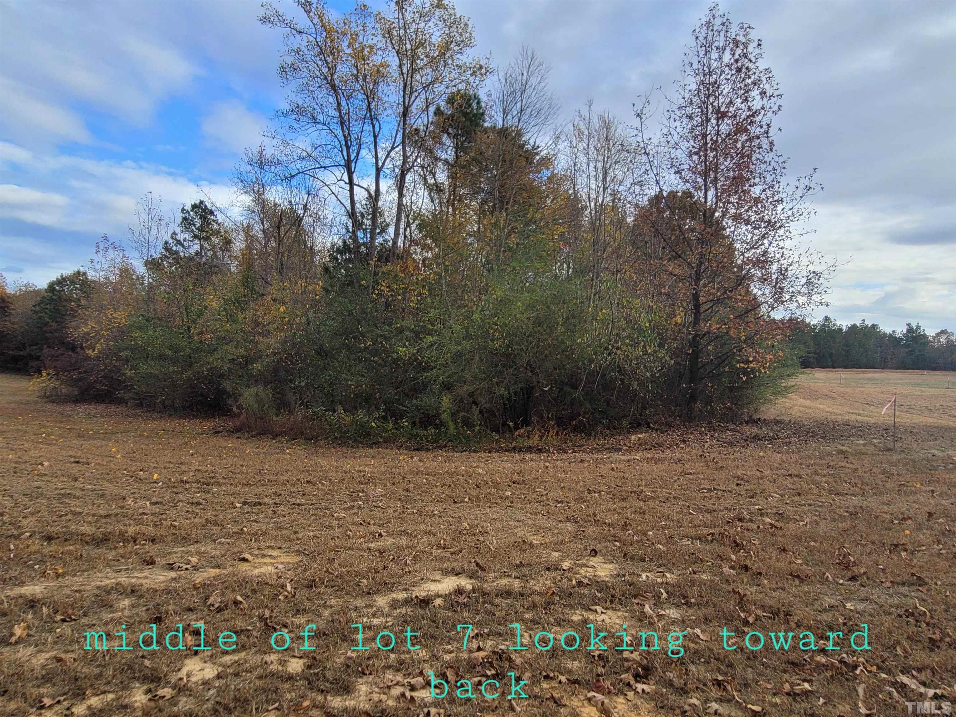 Lot 7 Allensville Road Roxboro, NC 27574 - Photo 5 of 9 a view of a lake view