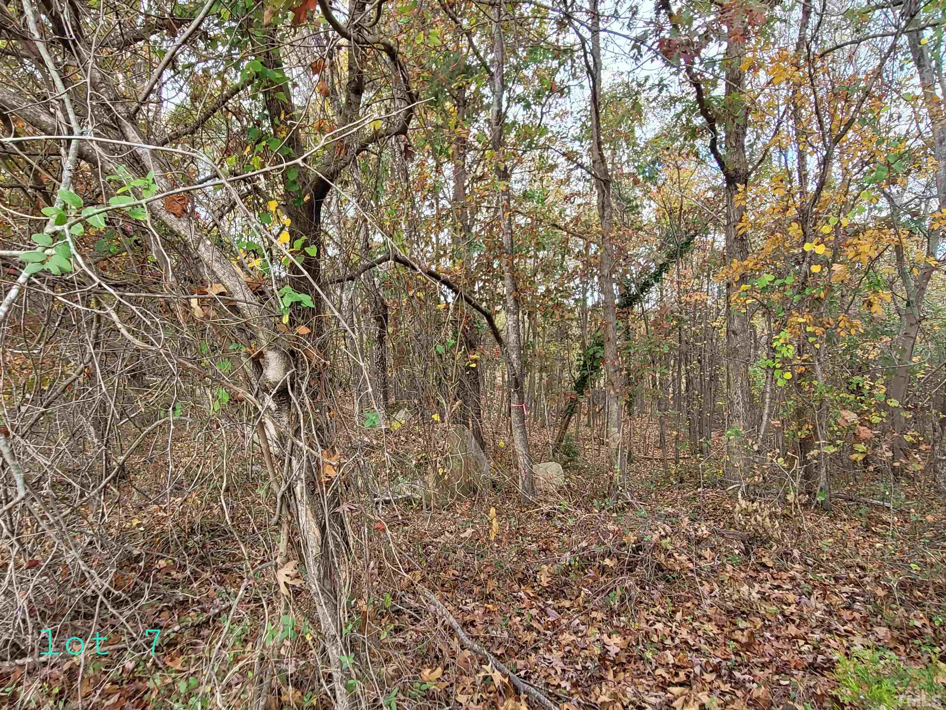 Lot 7 Allensville Road Roxboro, NC 27574 - Photo 6 of 9 a view of a yard with a tree