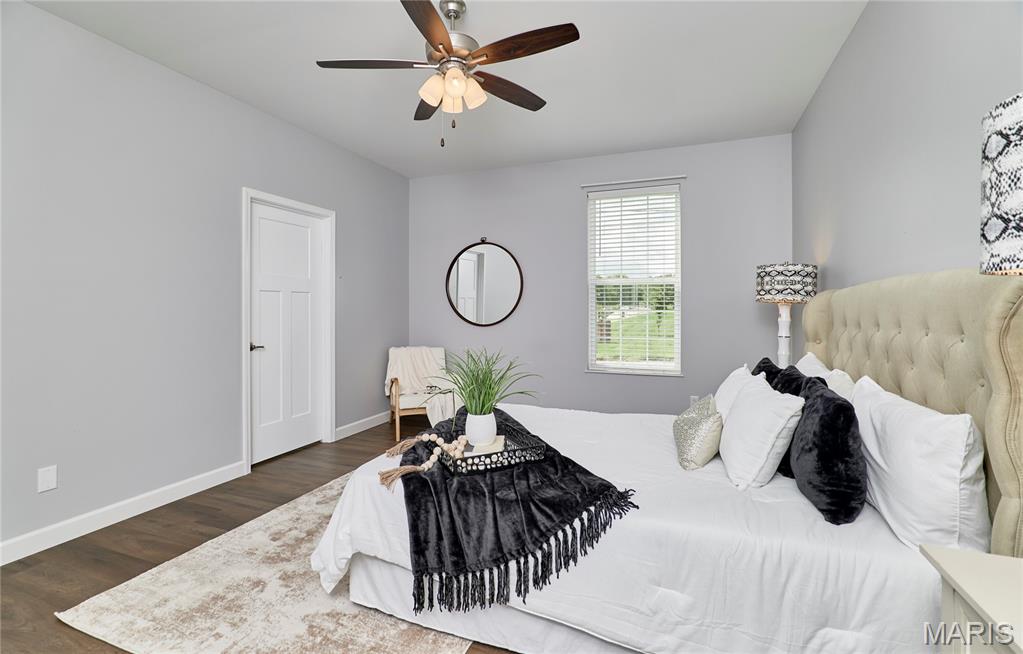 327 East 4th Street Waterloo, IL 62298 - Photo 15 of 29