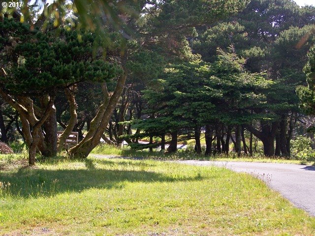 0 Ophir Road, Unit 201 Gold Beach, OR 97444 - Photo 2 of 19