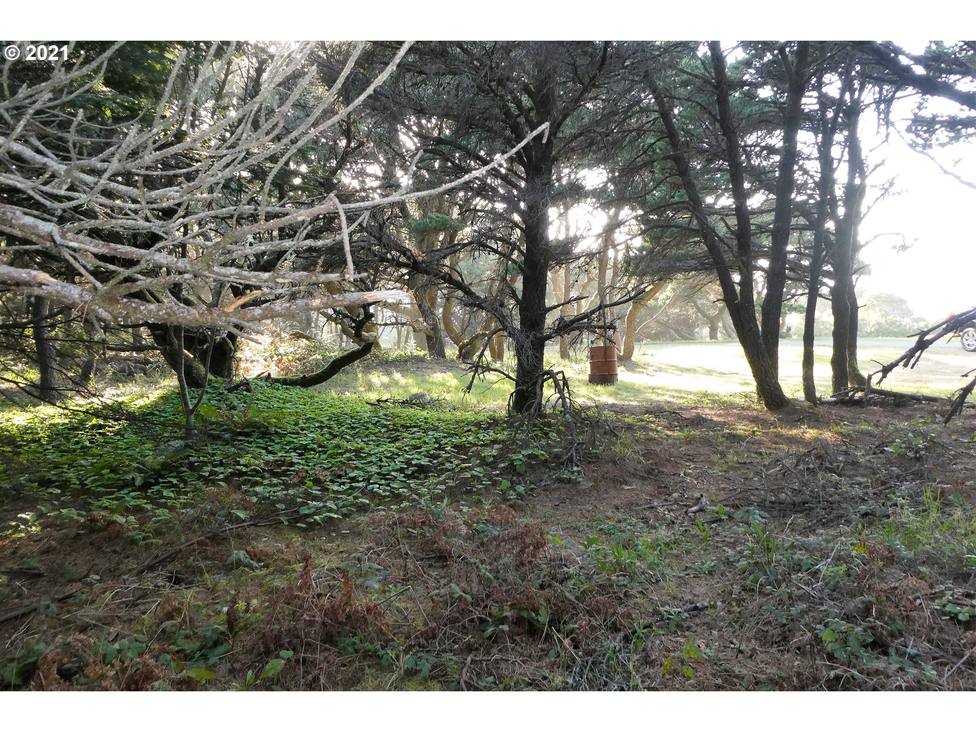 0 Ophir Road, Unit 201 Gold Beach, OR 97444 - Photo 11 of 19
