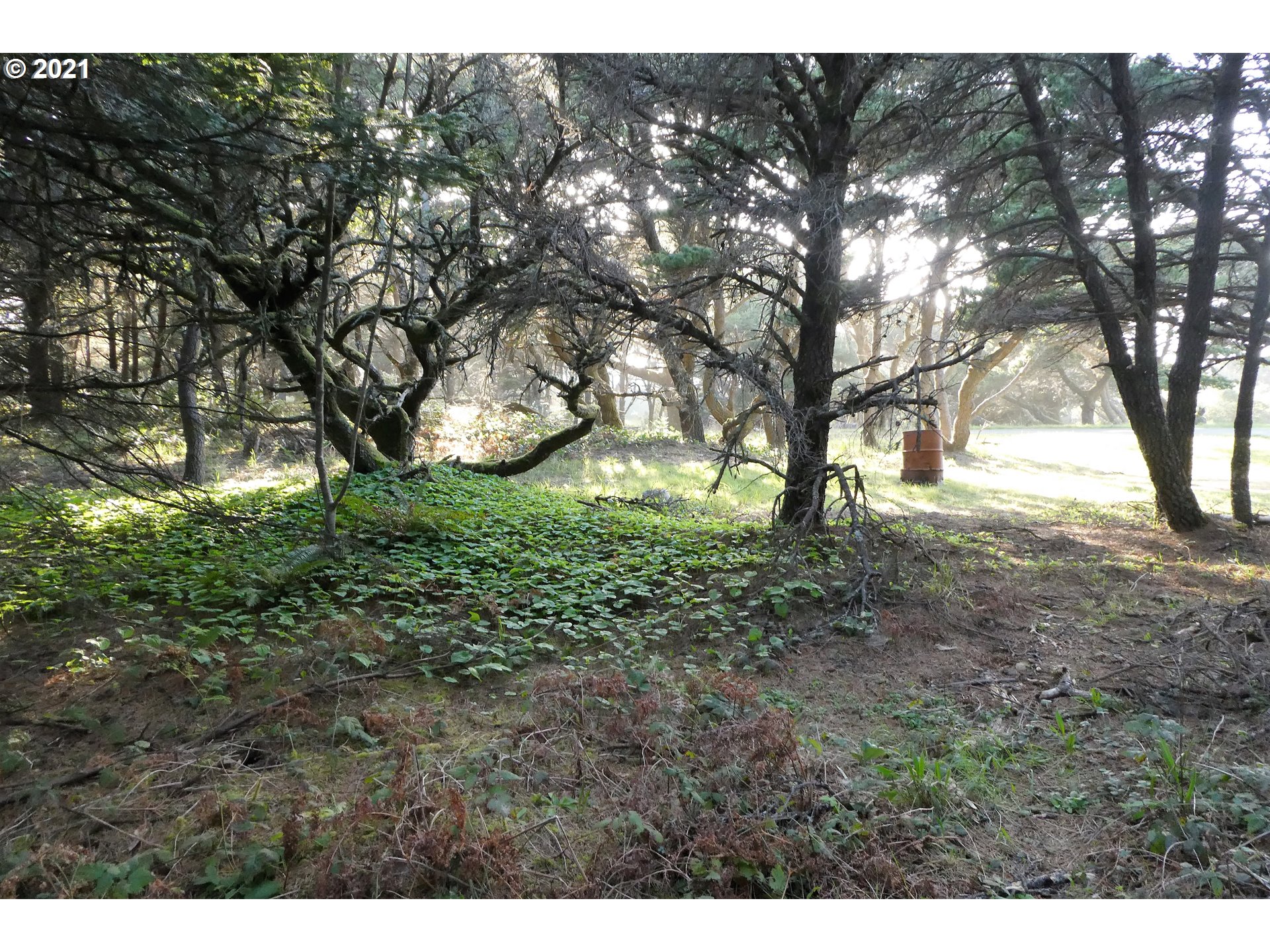 0 Ophir Road, Unit 201 Gold Beach, OR 97444 - Photo 12 of 19