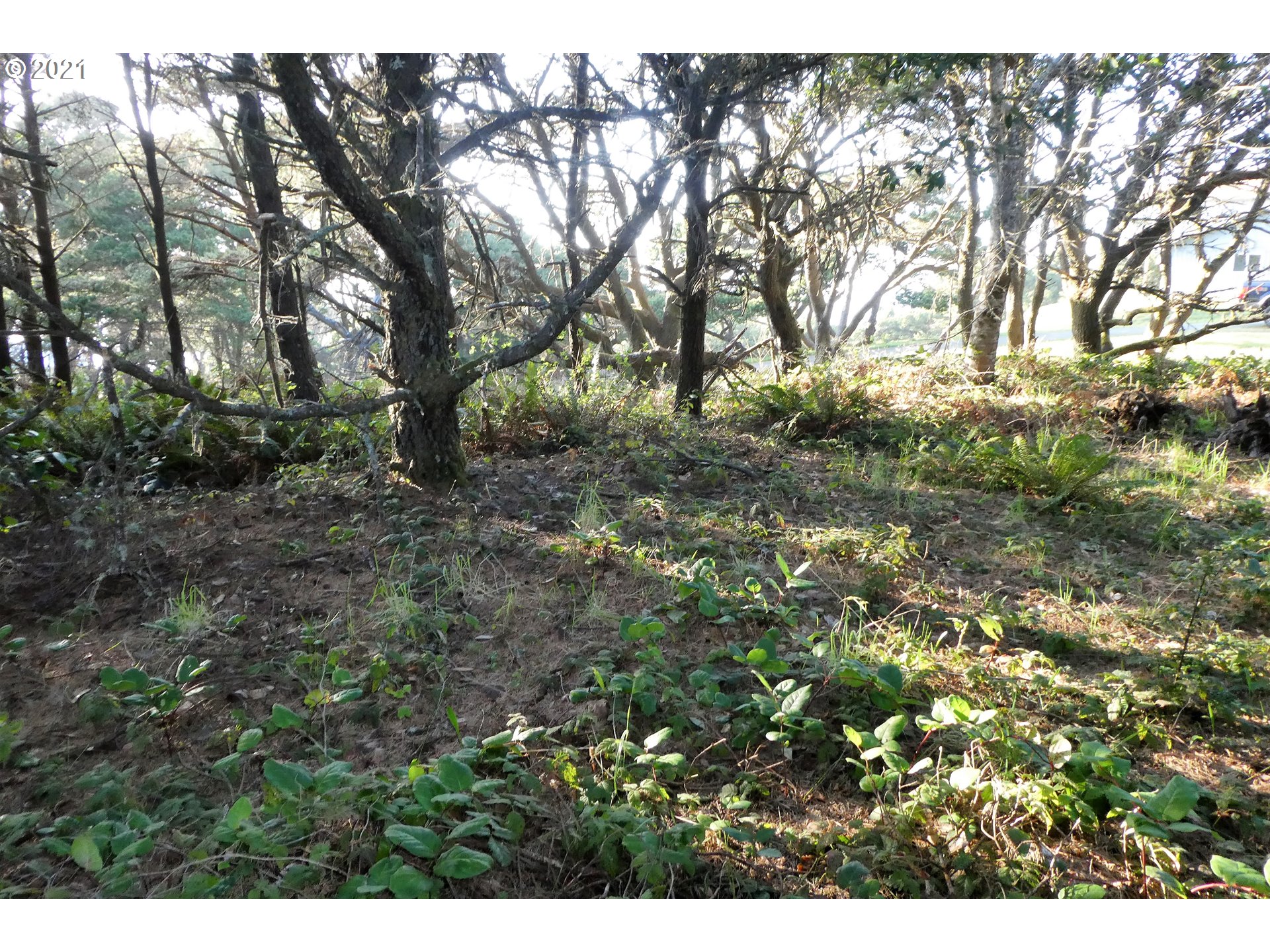 0 Ophir Road, Unit 201 Gold Beach, OR 97444 - Photo 14 of 19