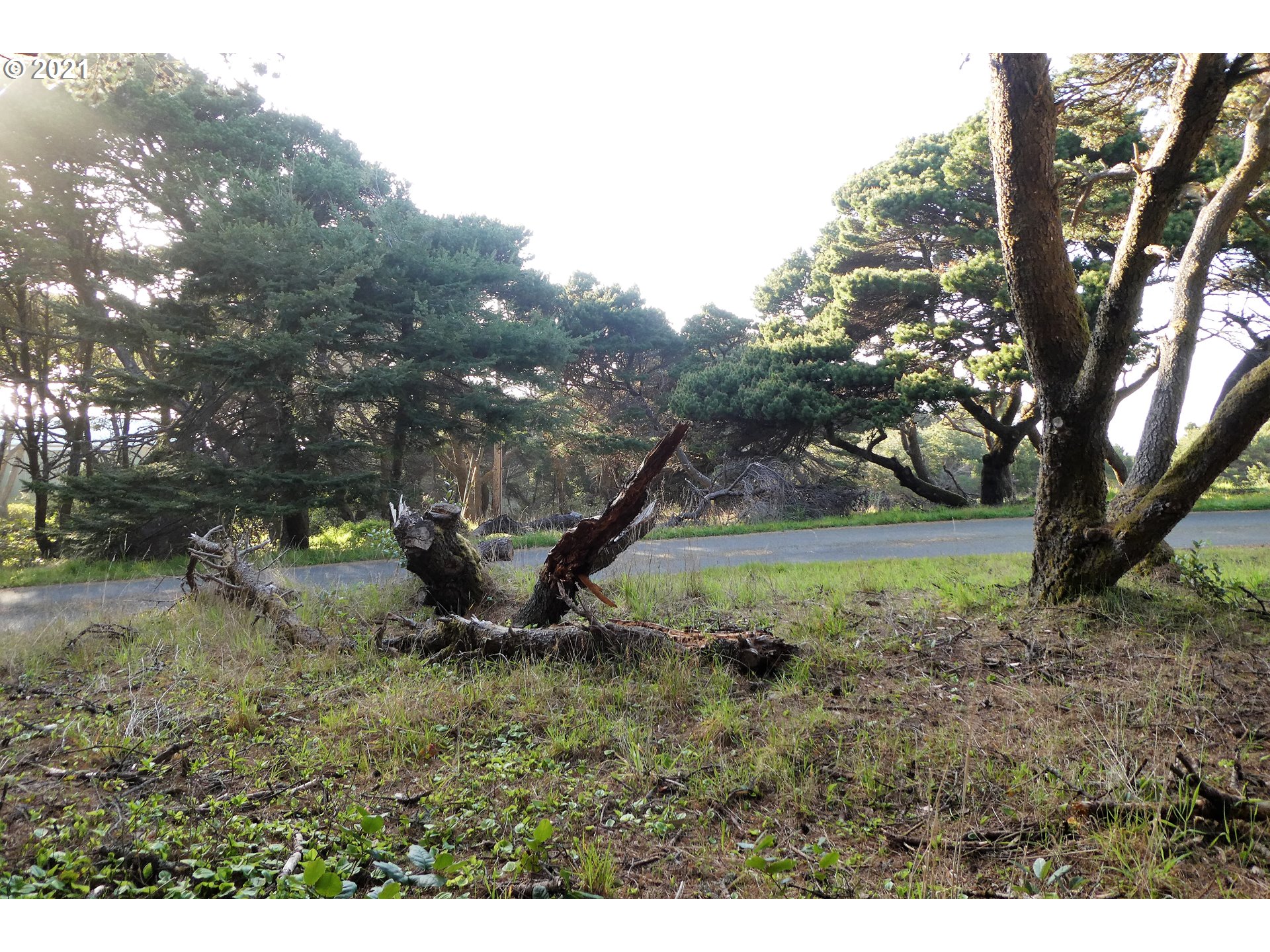 0 Ophir Road, Unit 201 Gold Beach, OR 97444 - Photo 17 of 19