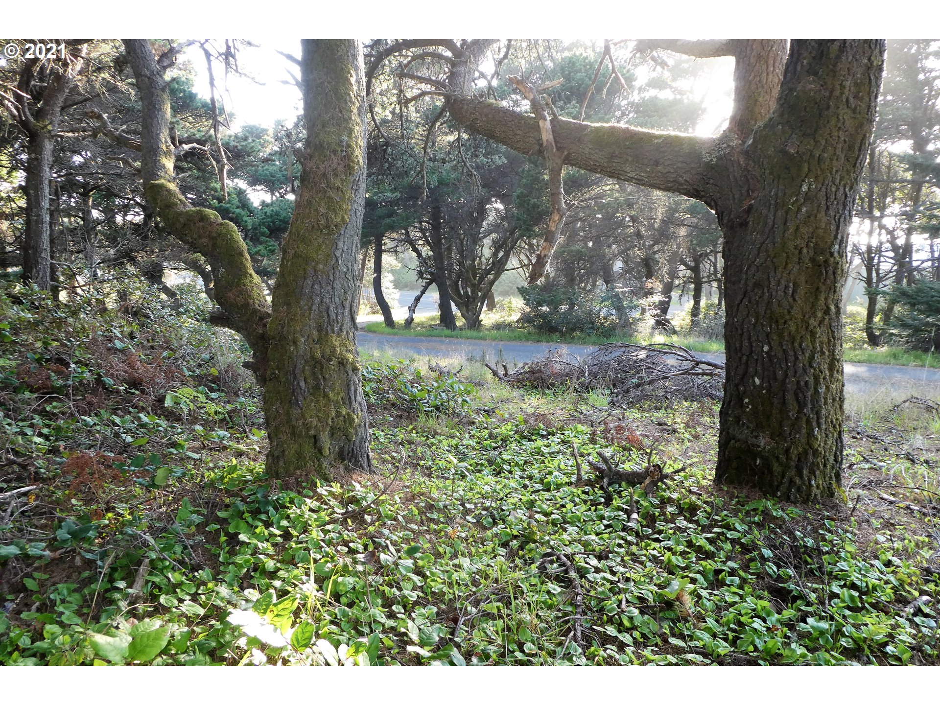 0 Ophir Road, Unit 201 Gold Beach, OR 97444 - Photo 18 of 19