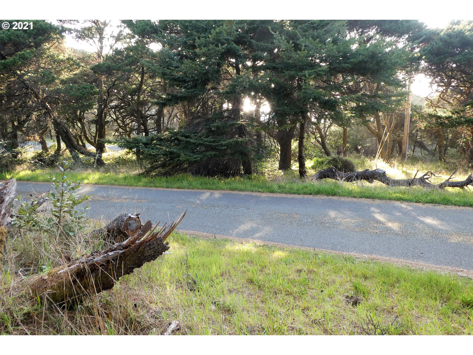0 Ophir Road, Unit 201 Gold Beach, OR 97444 - Photo 19 of 19