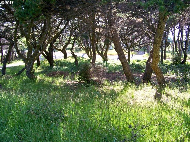 0 Ophir Road, Unit 201 Gold Beach, OR 97444 - Photo 5 of 19