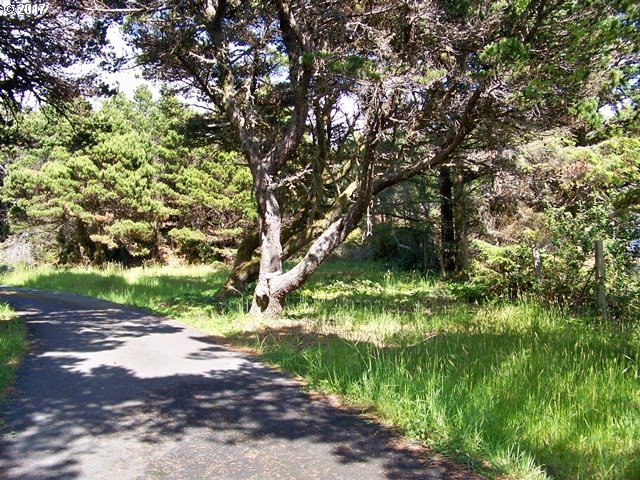 0 Ophir Road, Unit 201 Gold Beach, OR 97444 - Photo 6 of 19