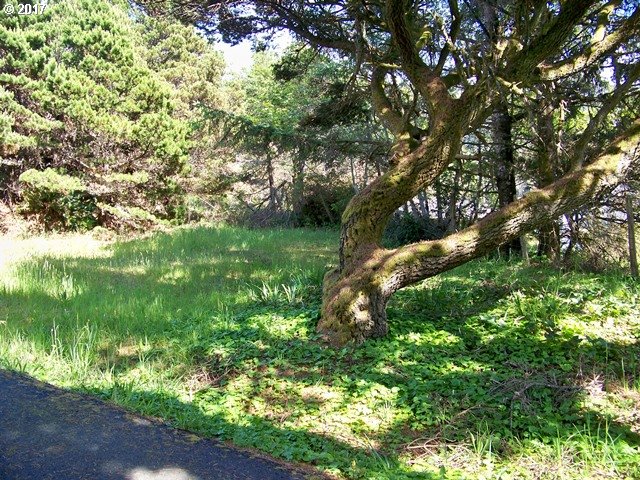 0 Ophir Road, Unit 201 Gold Beach, OR 97444 - Photo 7 of 19