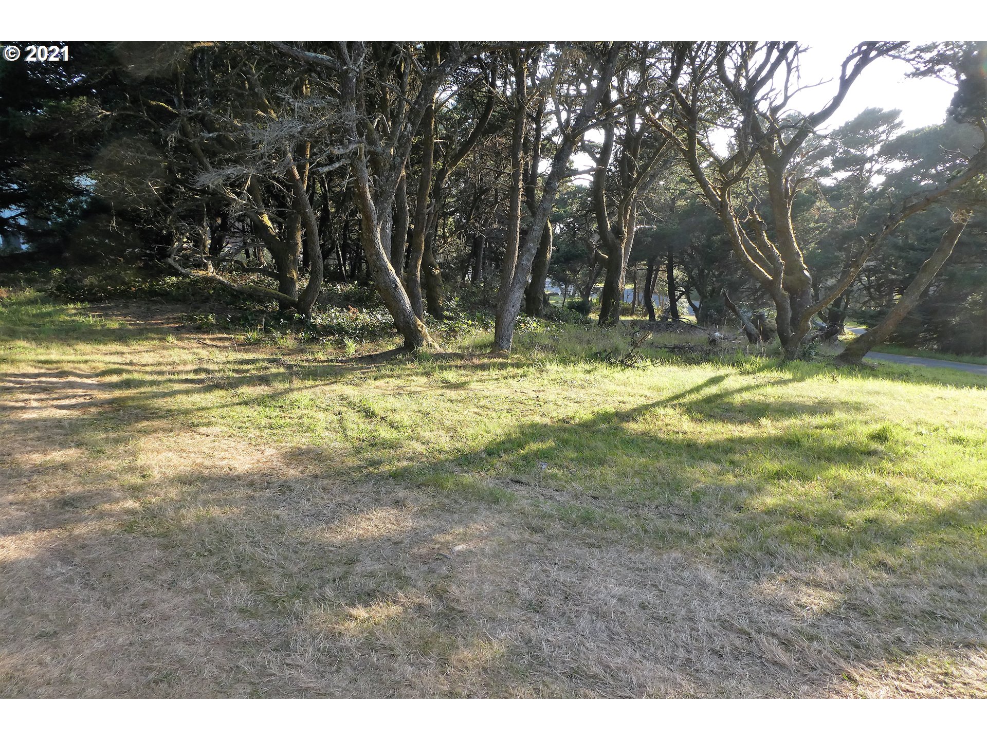 0 Ophir Road, Unit 201 Gold Beach, OR 97444 - Photo 10 of 19