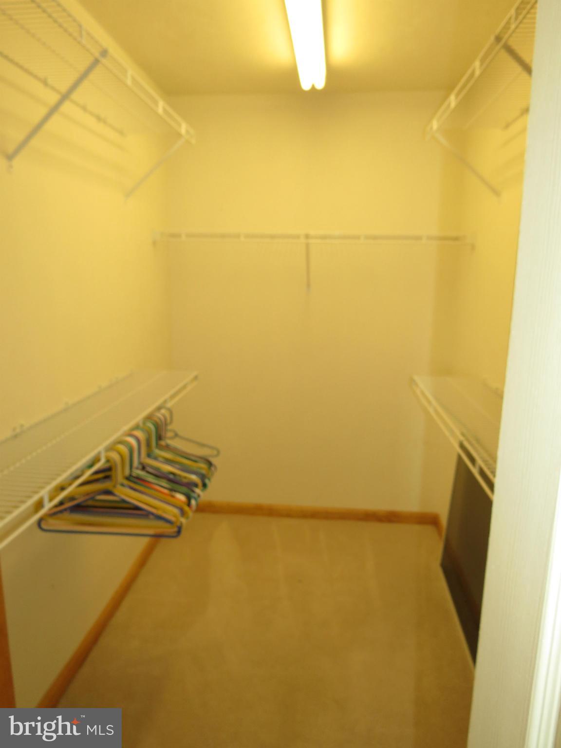 641 Oak Tree Road Sykesville, MD 21784 - Photo 21 of 30 Walk in Closet