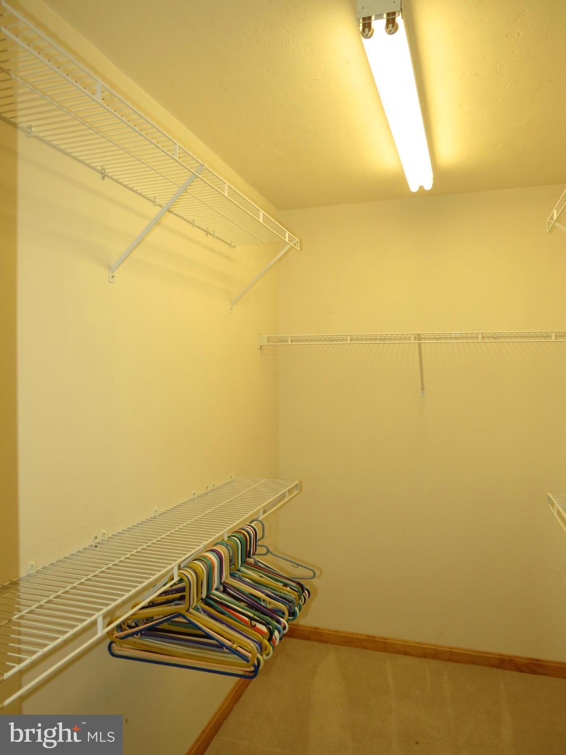 641 Oak Tree Road Sykesville, MD 21784 - Photo 22 of 30 Walk in Closet