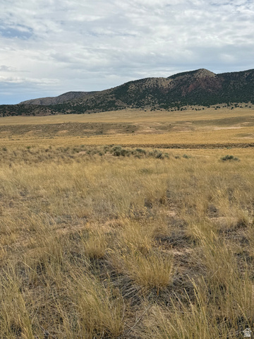 15 Old Dam Road, Unit 15 Levan, UT 84639 - Photo 2 of 8