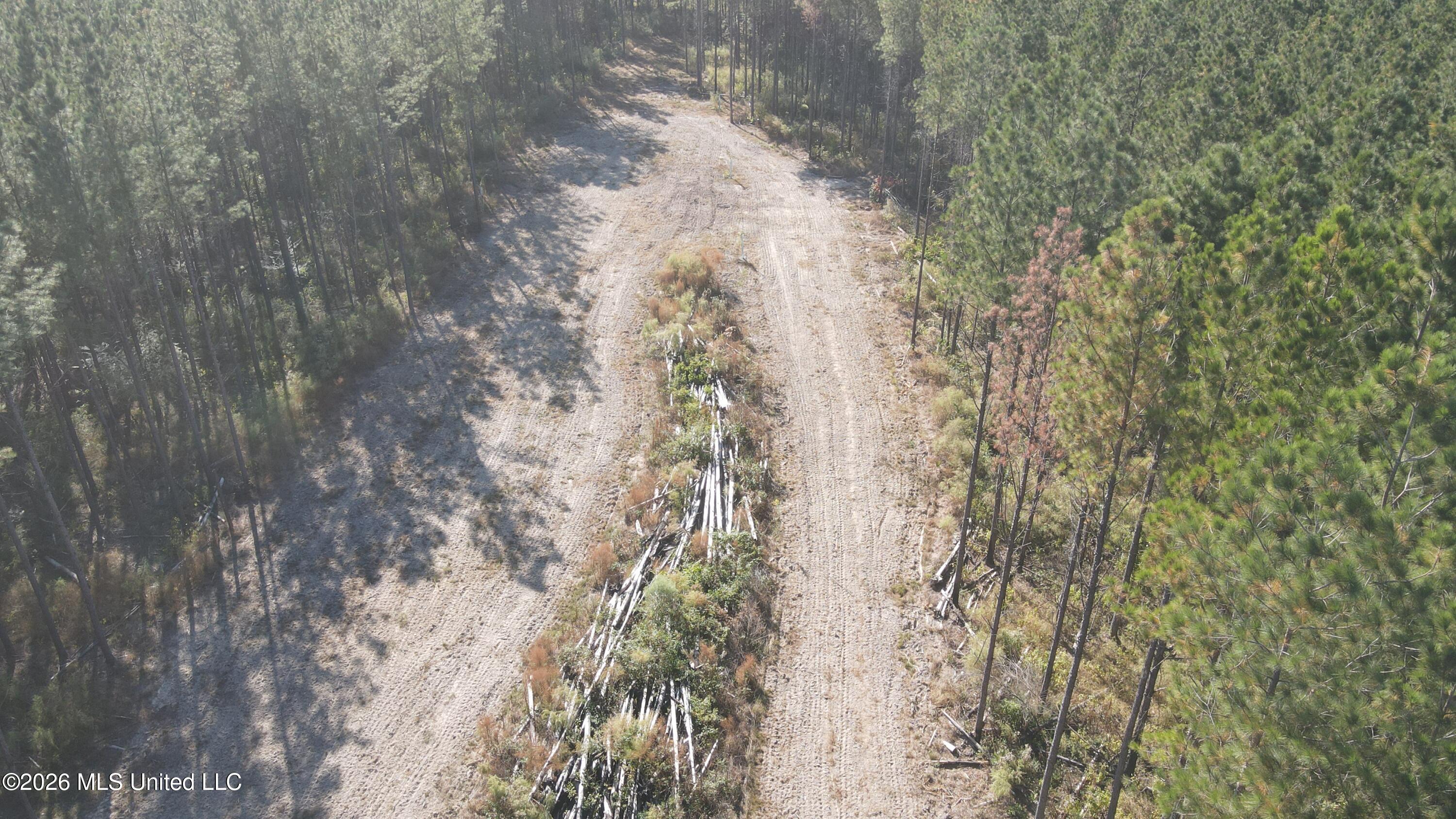 Loyd Irby Road Pelahatchie, MS 39145 - Photo 15 of 30 DJI_0225