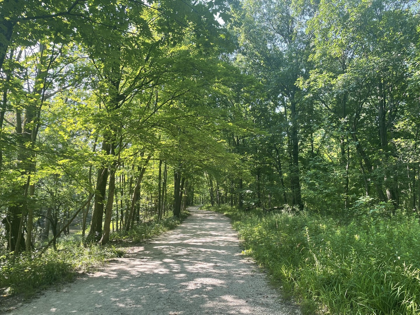 740 Juniper Road Glenview, IL 60025 - Photo 16 of 22 a view of outdoor space and trees