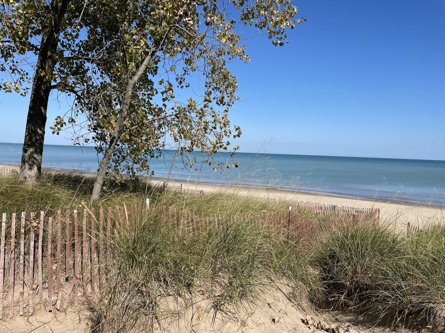740 Juniper Road Glenview, IL 60025 - Photo 17 of 22 a view of an outdoor space and trees all around