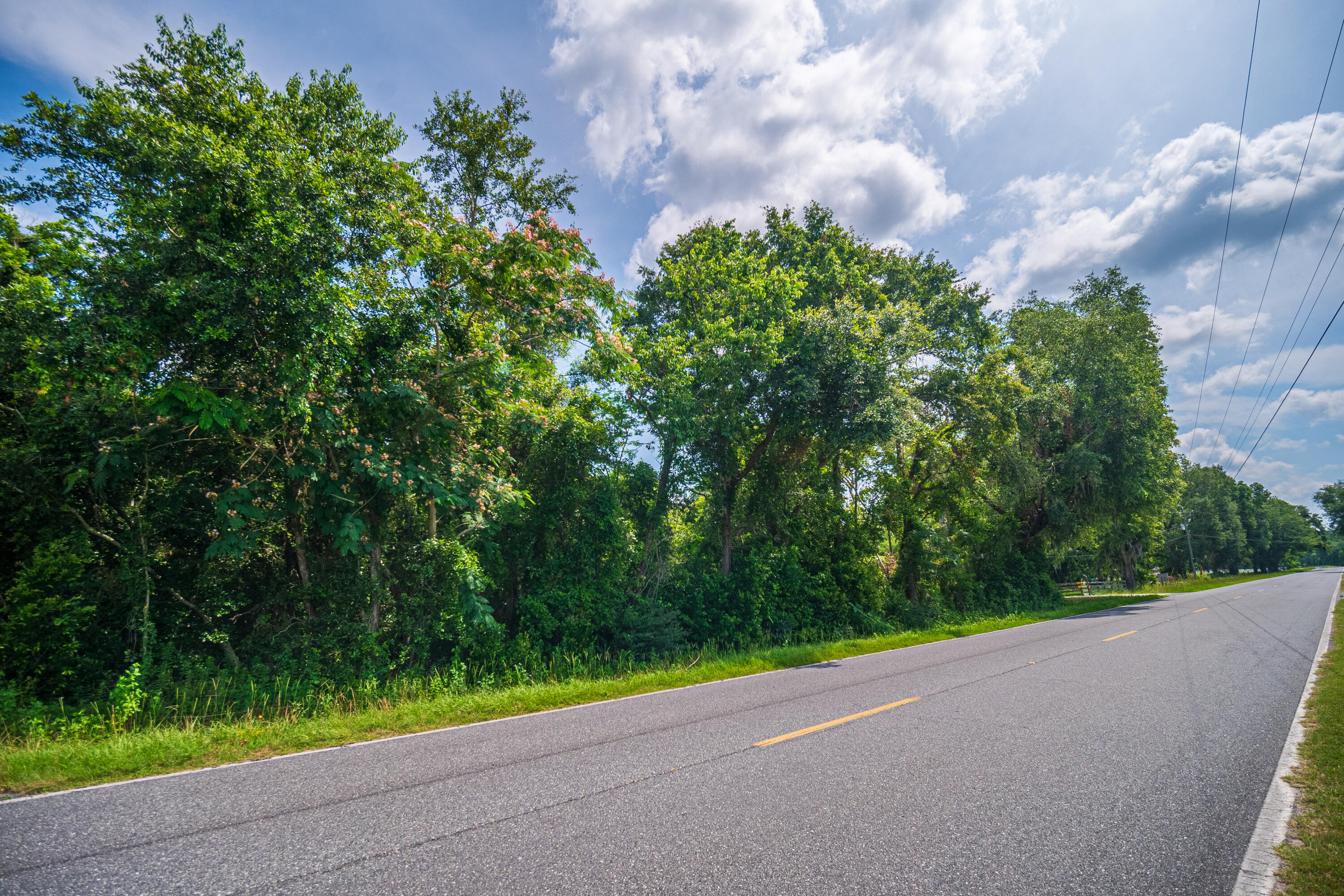 252 County Road 252 Wellborn, FL 32094 - Photo 11 of 75 Land in McAlpin FL (9 of 78)
