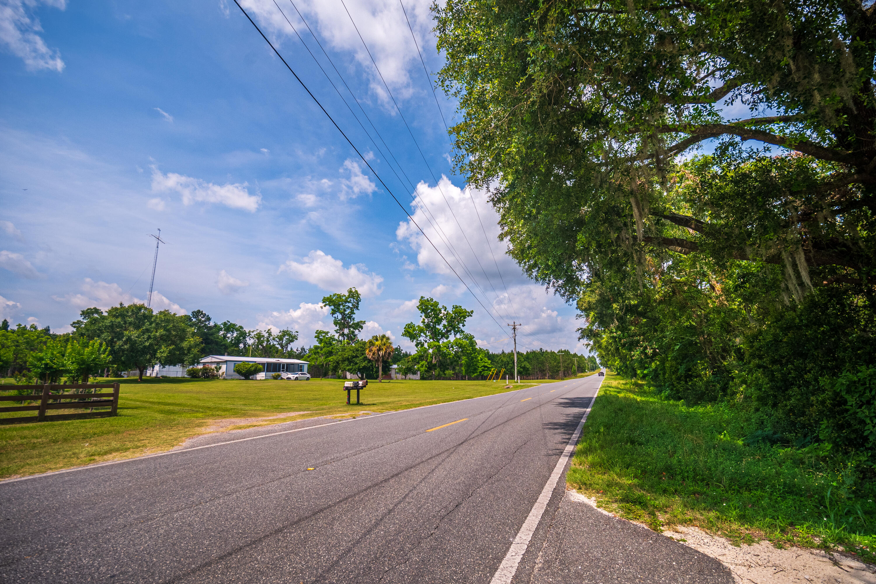 252 County Road 252 Wellborn, FL 32094 - Photo 13 of 75 Land in McAlpin FL (11 of 78)