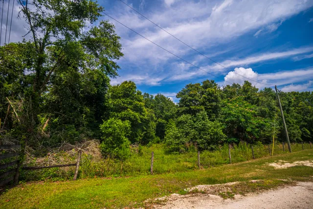 $335,000 | 252 County Road 252, Wellborn, FL 32094