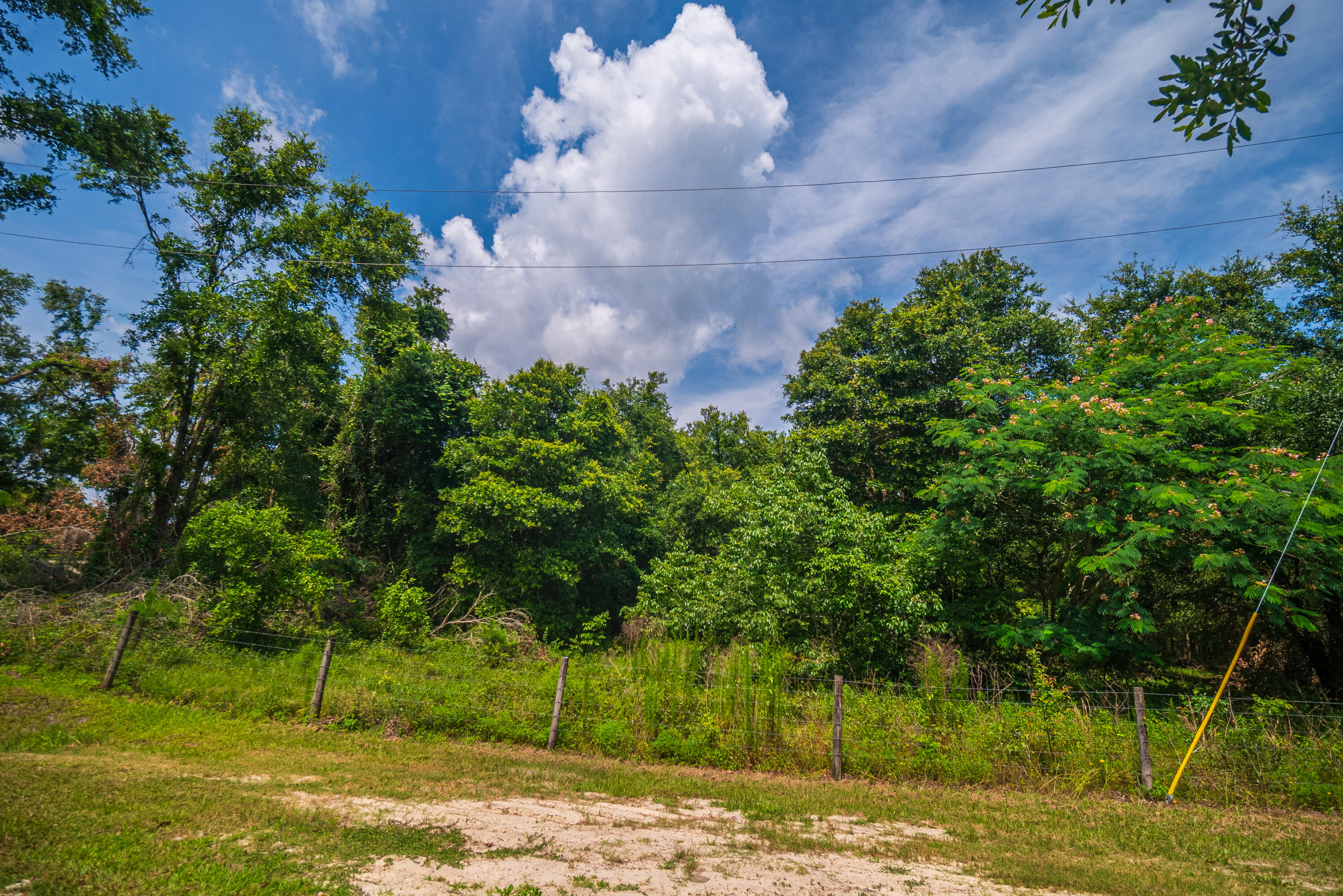 252 County Road 252 Wellborn, FL 32094 - Photo 16 of 75 Land in McAlpin FL (14 of 78)
