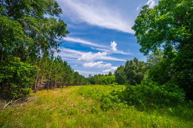 $335,000 | 252 County Road 252, Wellborn, FL 32094