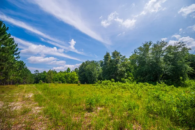 $335,000 | 252 County Road 252, Wellborn, FL 32094