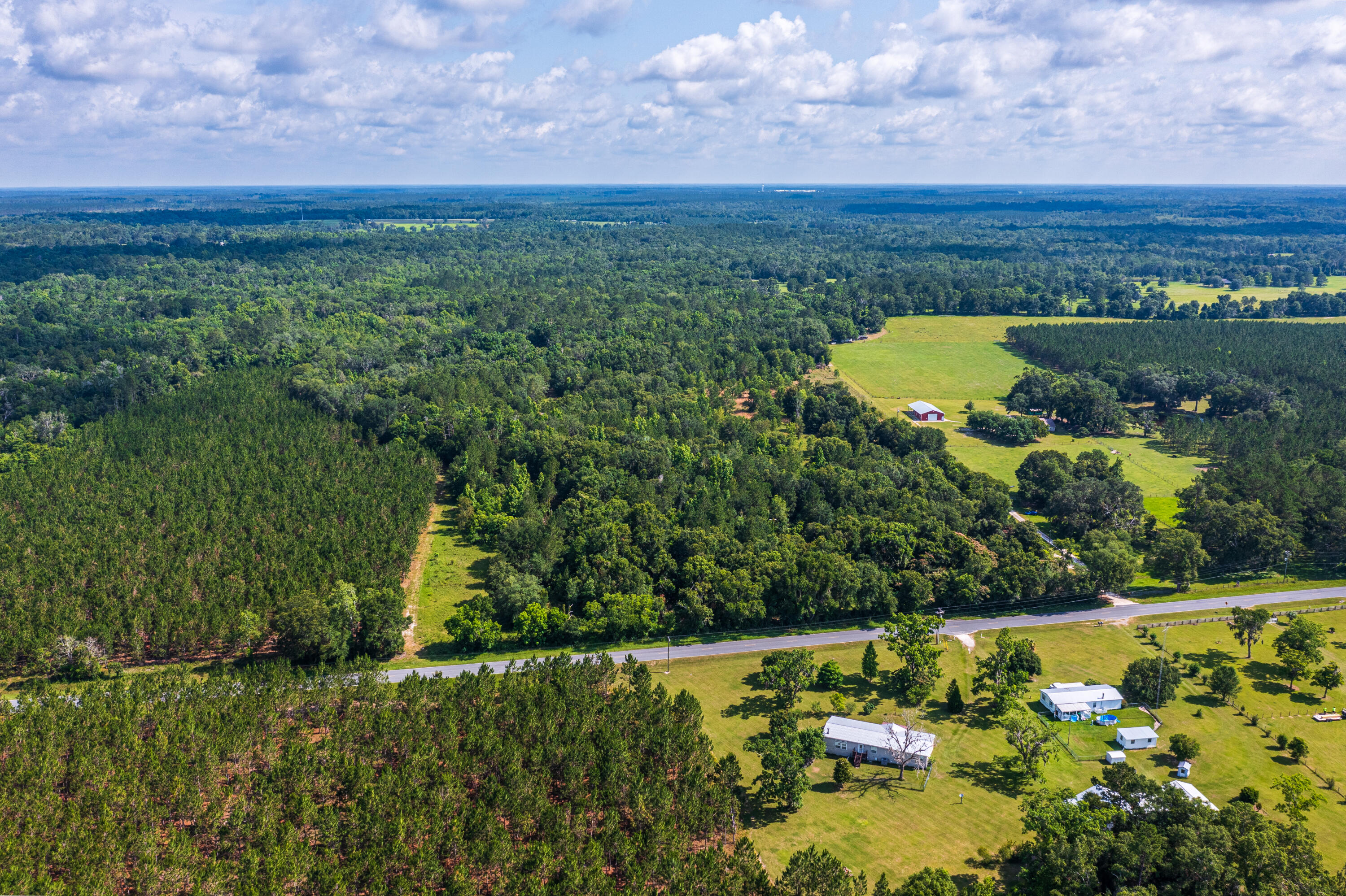 252 County Road 252 Wellborn, FL 32094 - Photo 22 of 75 Land in McAlpin FL (20 of 78)