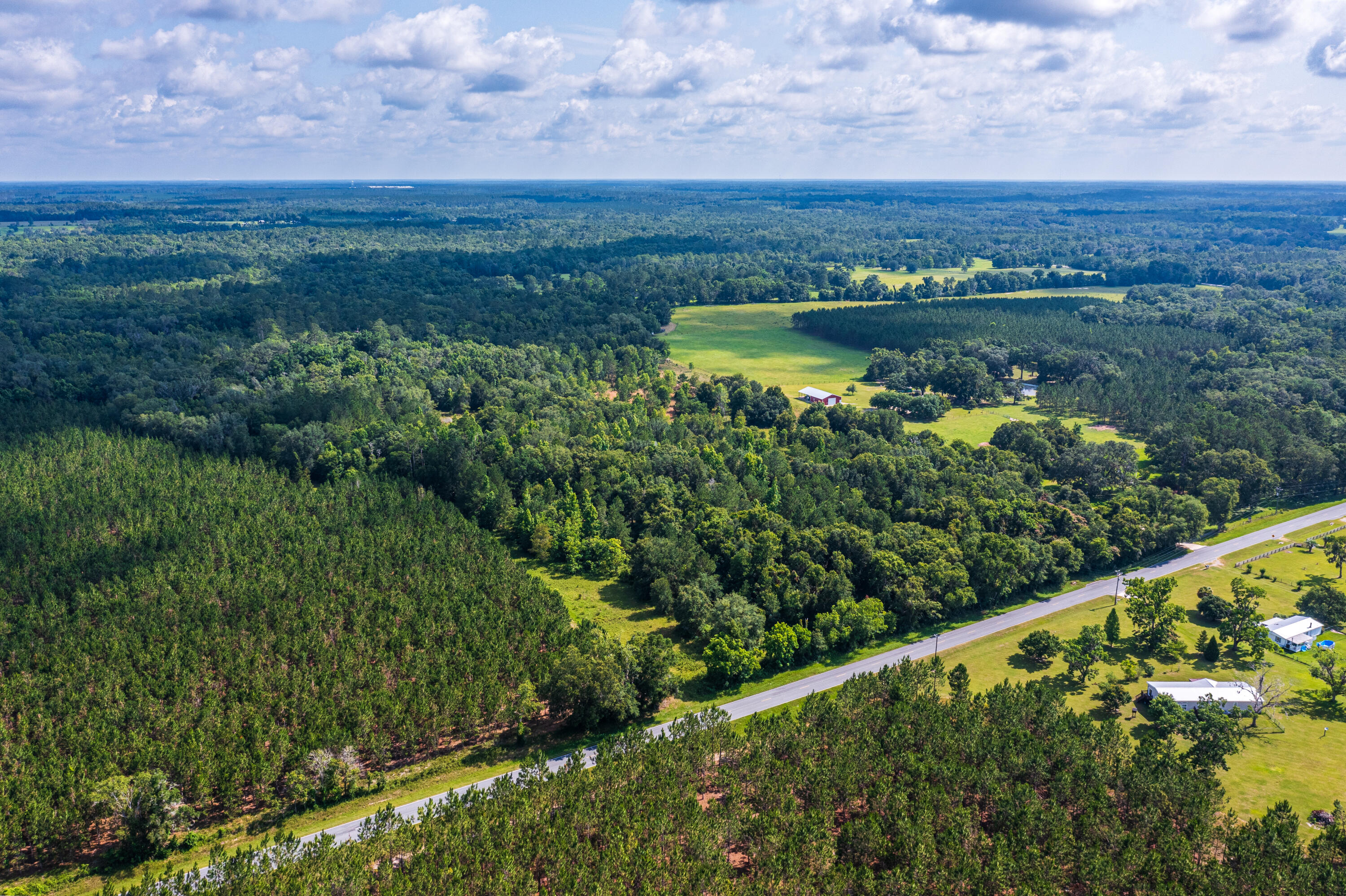 252 County Road 252 Wellborn, FL 32094 - Photo 23 of 75 Land in McAlpin FL (22 of 78)