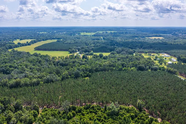 $335,000 | 252 County Road 252, Wellborn, FL 32094