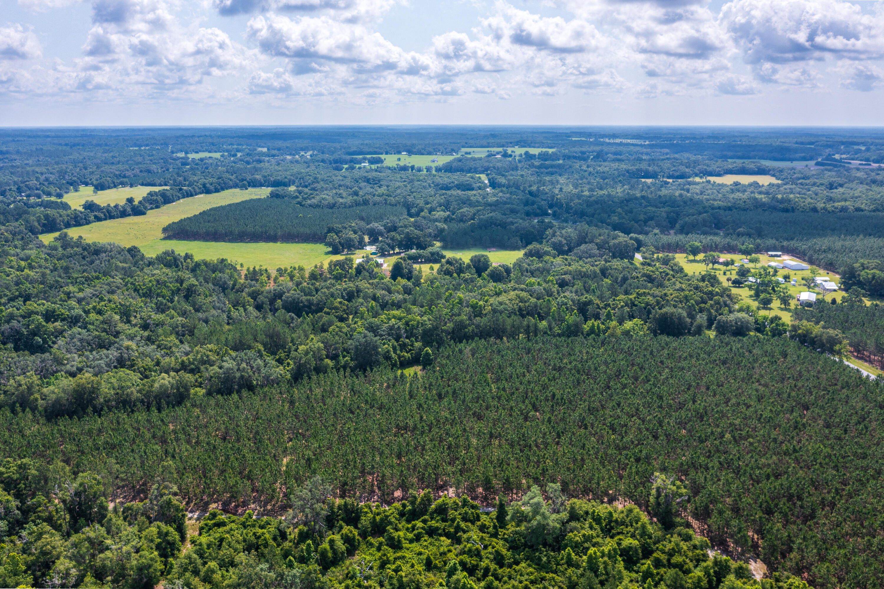 252 County Road 252 Wellborn, FL 32094 - Photo 24 of 75 Land in McAlpin FL (23 of 78)