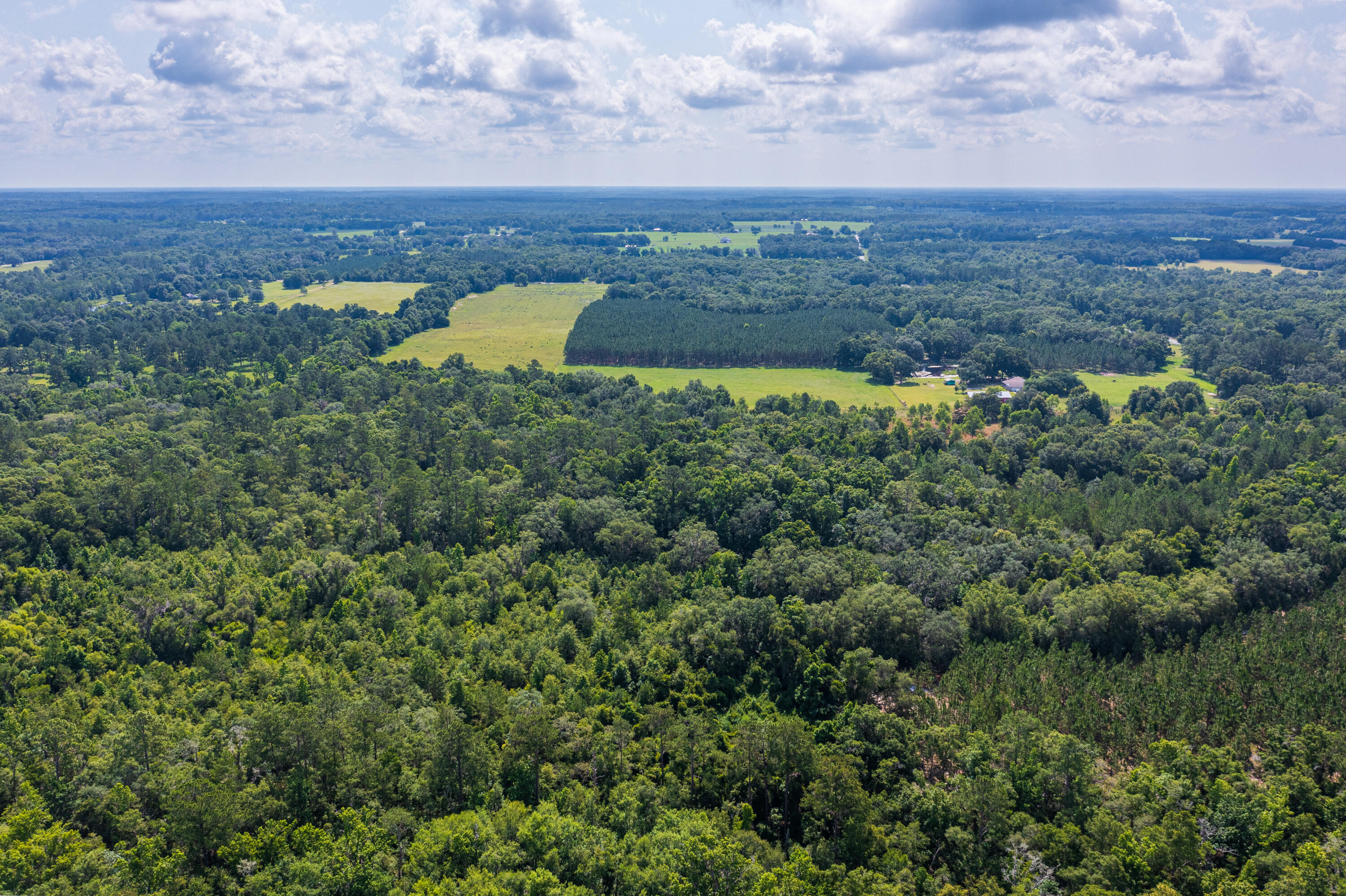 252 County Road 252 Wellborn, FL 32094 - Photo 25 of 75 Land in McAlpin FL (24 of 78)