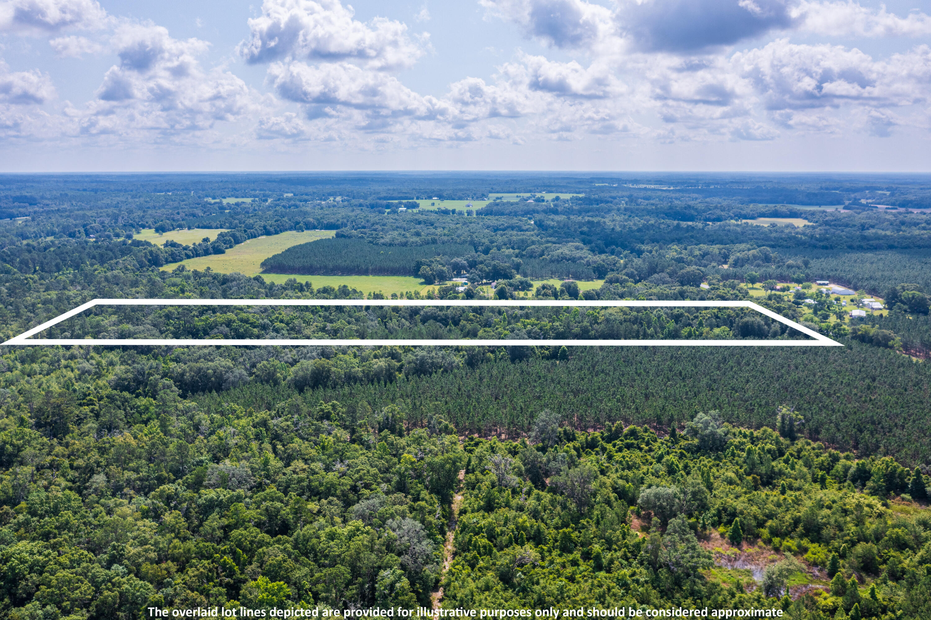 252 County Road 252 Wellborn, FL 32094 - Photo 26 of 75 Land in McAlpin FL (25 of 78)