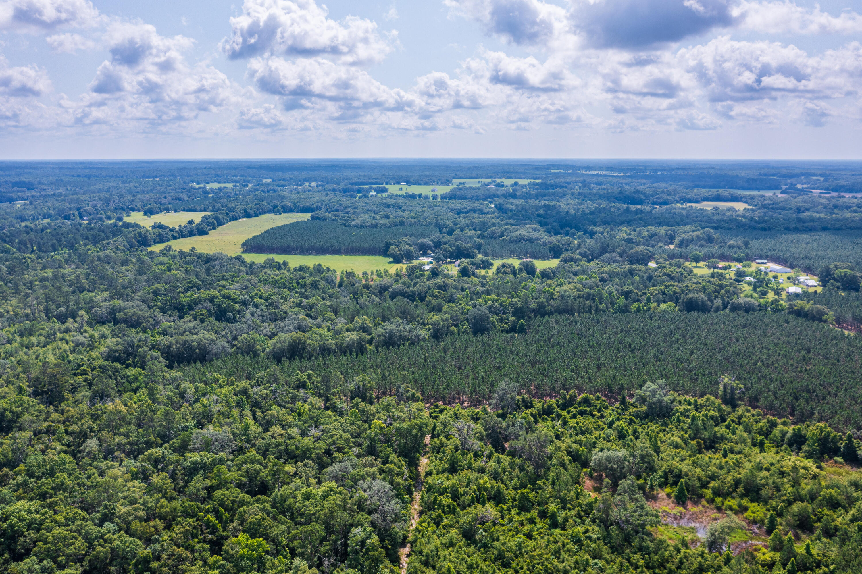 252 County Road 252 Wellborn, FL 32094 - Photo 27 of 75 Land in McAlpin FL (26 of 78)