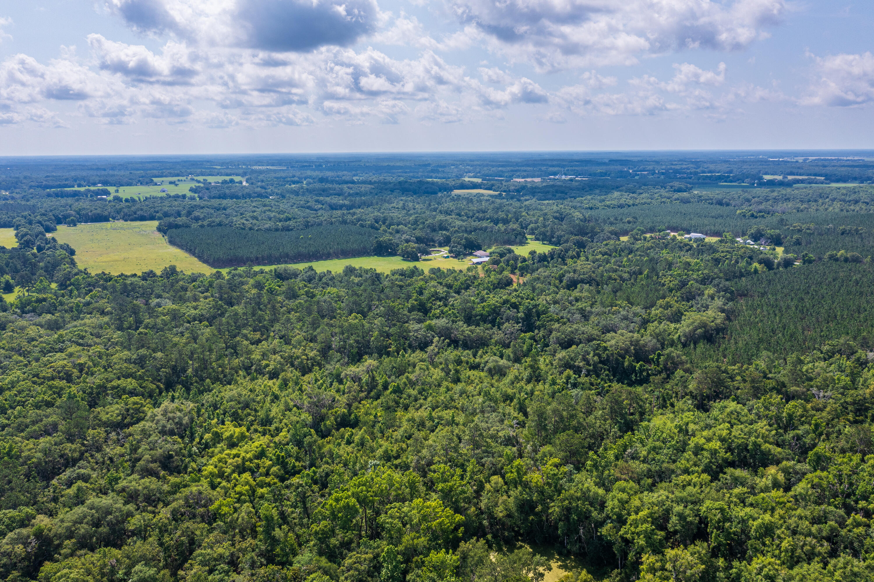 252 County Road 252 Wellborn, FL 32094 - Photo 28 of 75 Land in McAlpin FL (27 of 78)