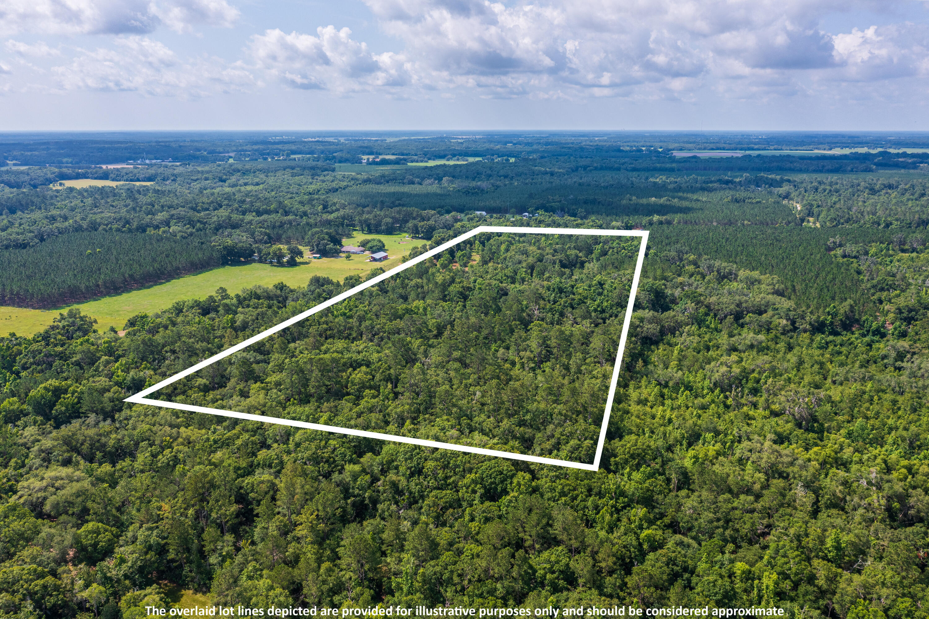 252 County Road 252 Wellborn, FL 32094 - Photo 29 of 75 Land in McAlpin FL (28 of 78)