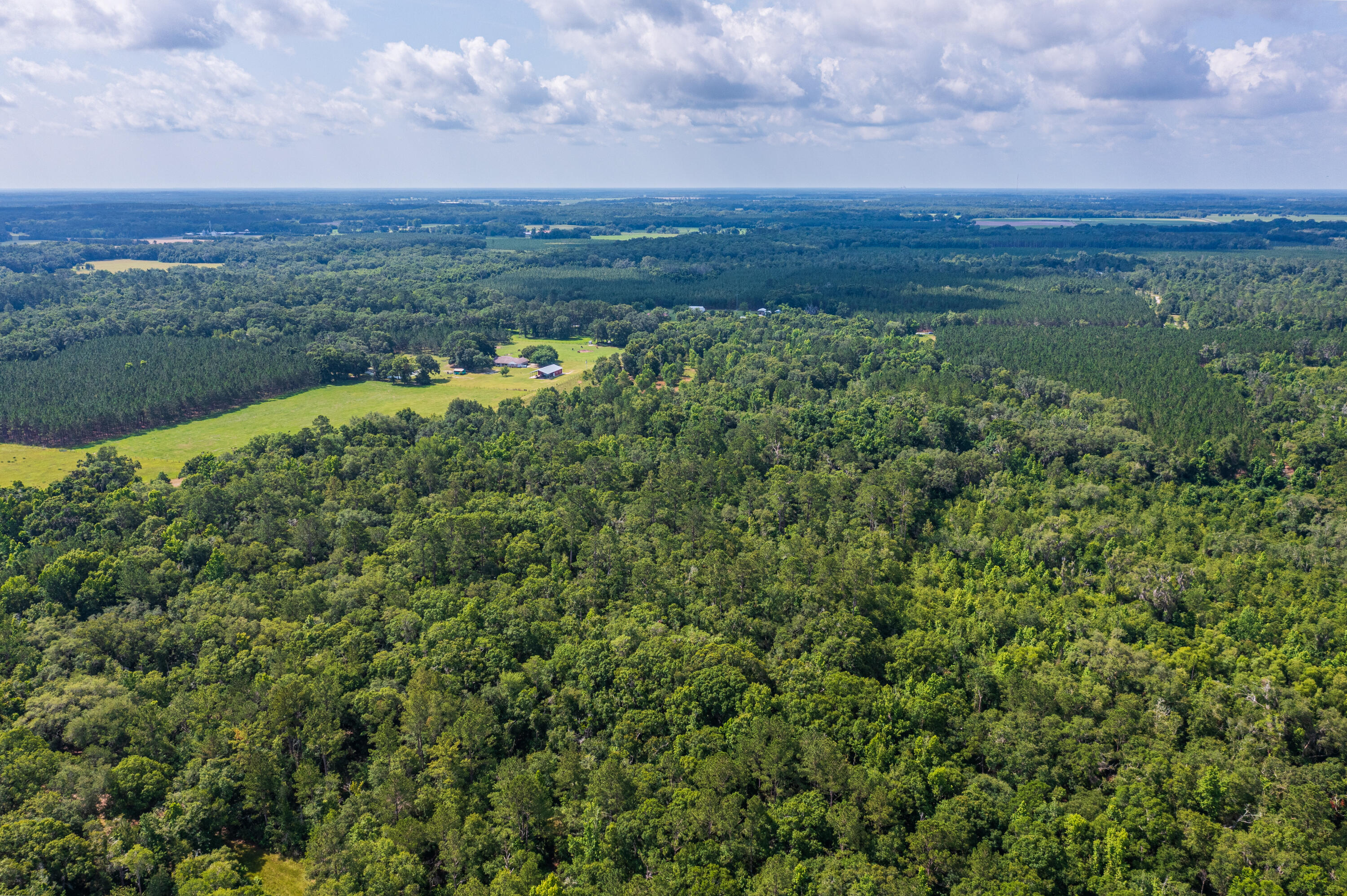 252 County Road 252 Wellborn, FL 32094 - Photo 30 of 75 Land in McAlpin FL (29 of 78)
