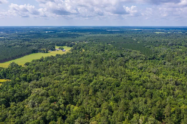 $335,000 | 252 County Road 252, Wellborn, FL 32094