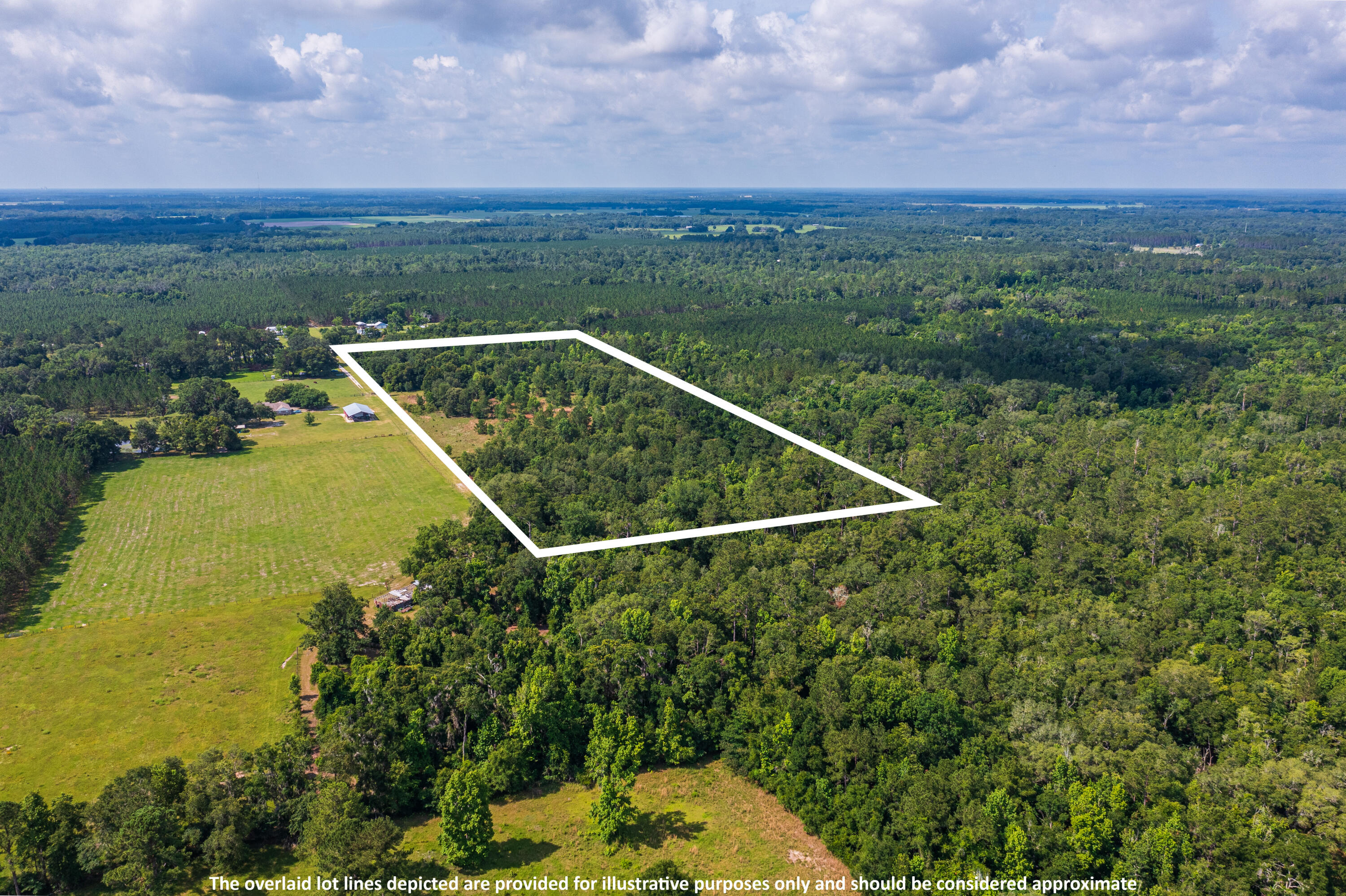 252 County Road 252 Wellborn, FL 32094 - Photo 32 of 75 Land in McAlpin FL (31 of 78)