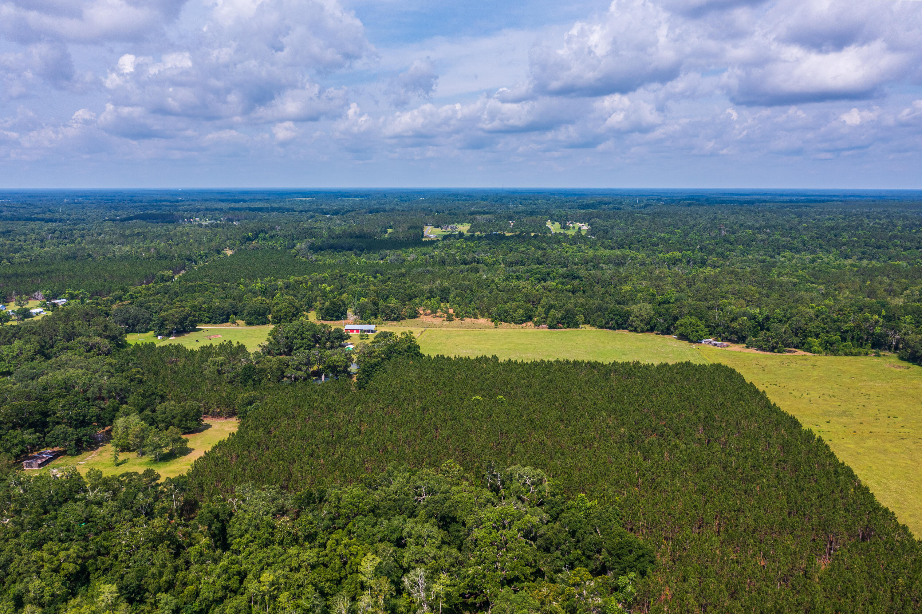 252 County Road 252 Wellborn, FL 32094 - Photo 35 of 75 Land in McAlpin FL (34 of 78)
