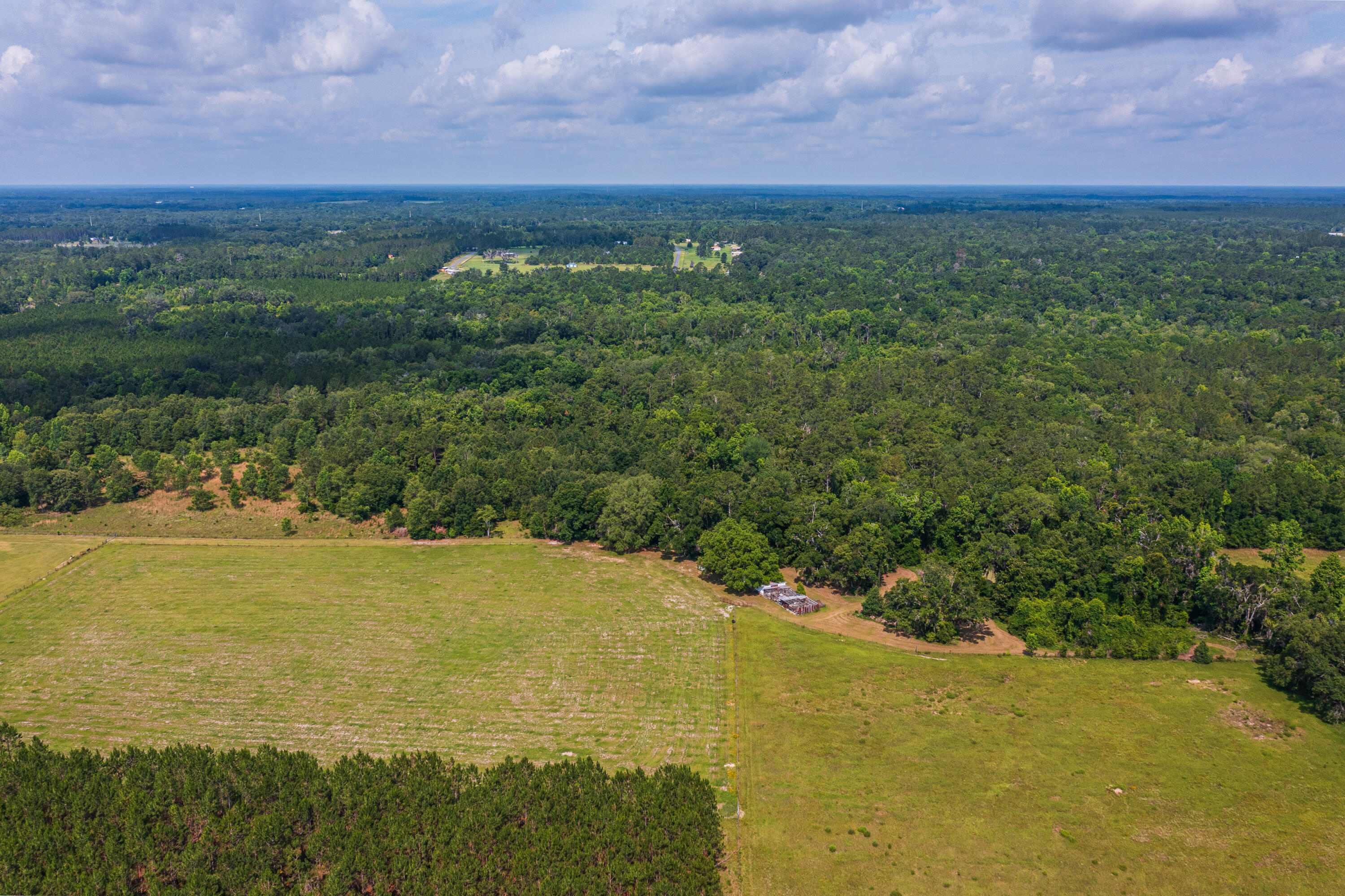 252 County Road 252 Wellborn, FL 32094 - Photo 36 of 75 Land in McAlpin FL (35 of 78)