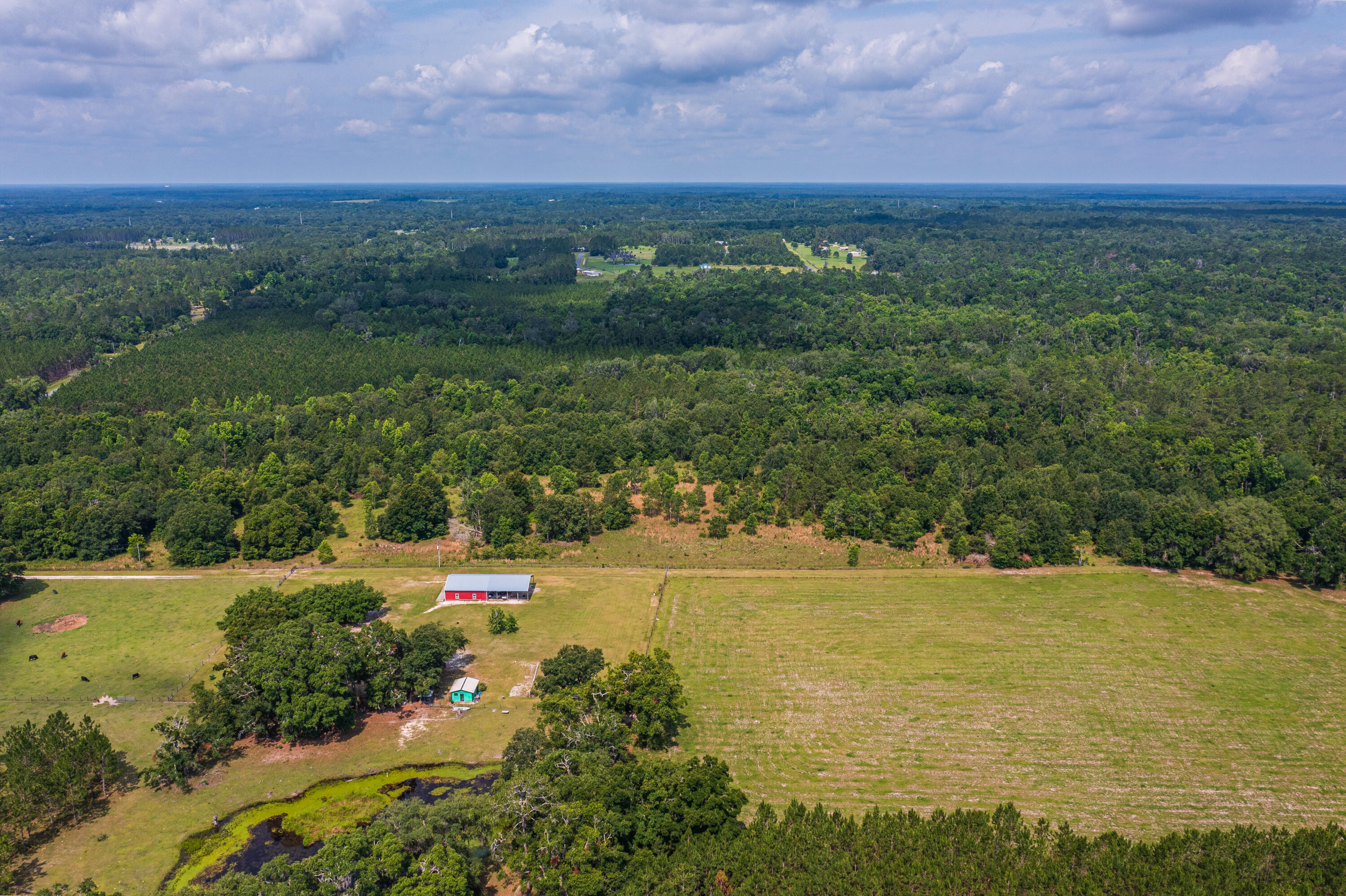 252 County Road 252 Wellborn, FL 32094 - Photo 37 of 75 Land in McAlpin FL (36 of 78)