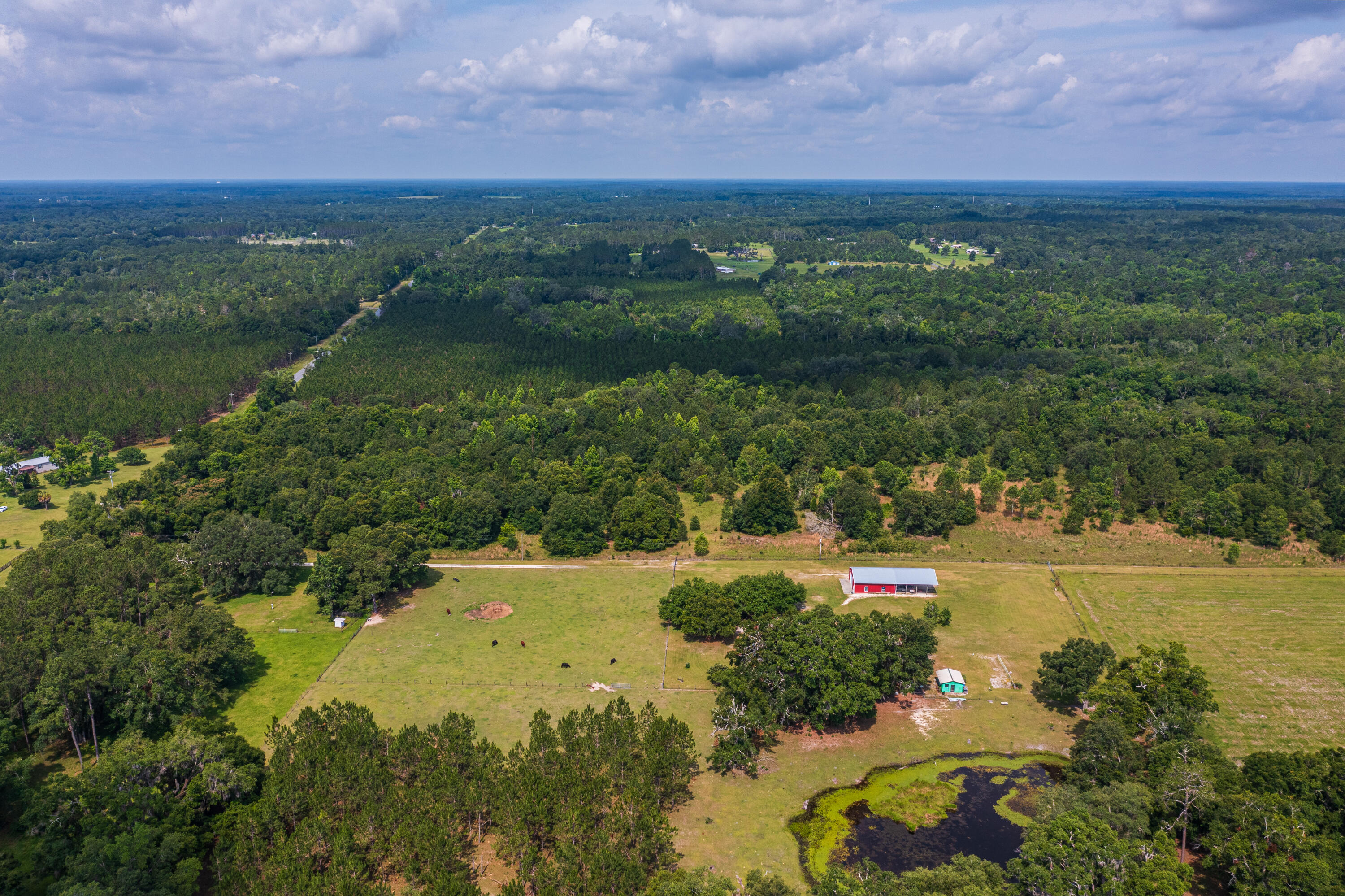252 County Road 252 Wellborn, FL 32094 - Photo 38 of 75 Land in McAlpin FL (37 of 78)