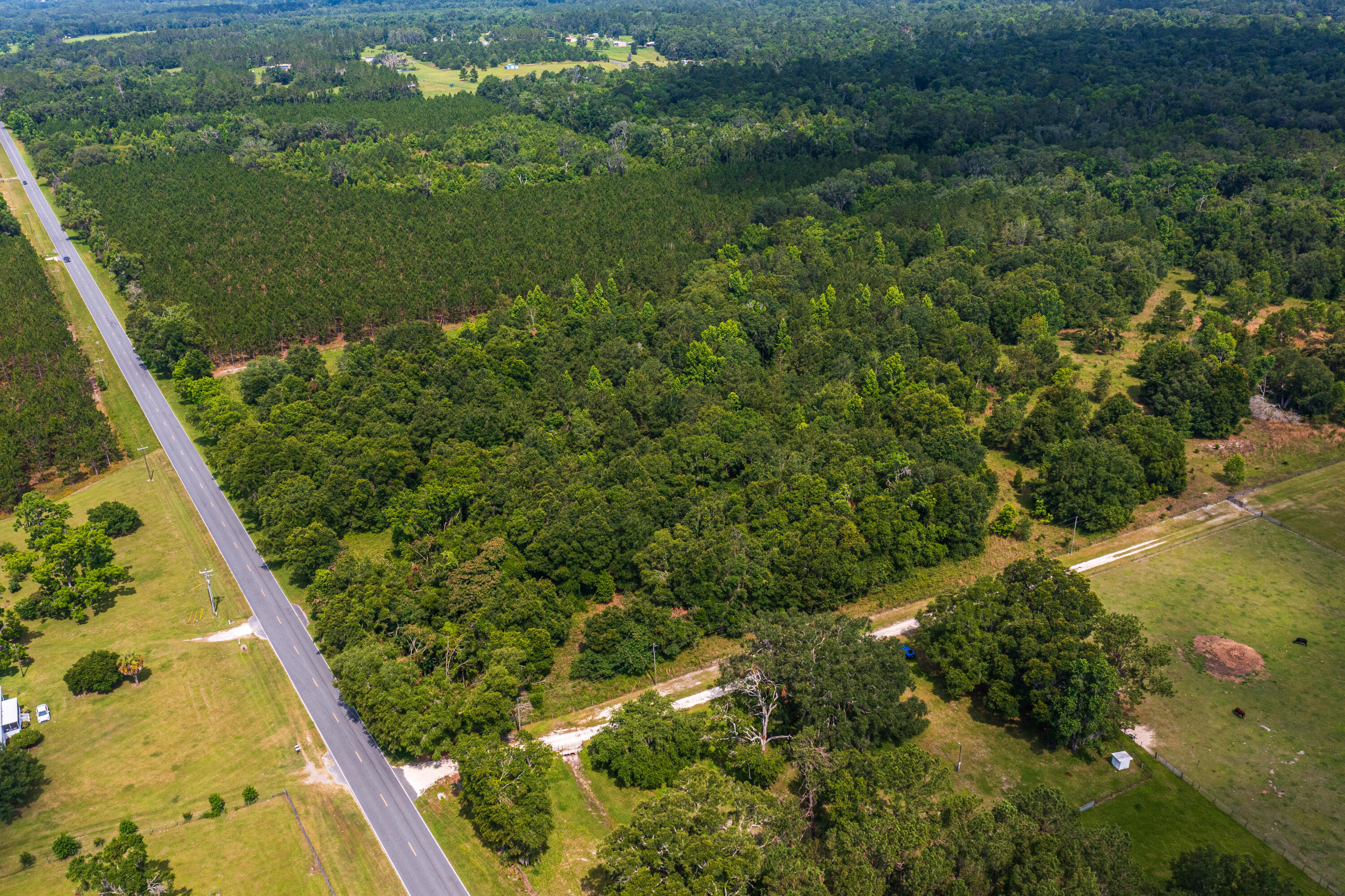 252 County Road 252 Wellborn, FL 32094 - Photo 40 of 75 Land in McAlpin FL (39 of 78)
