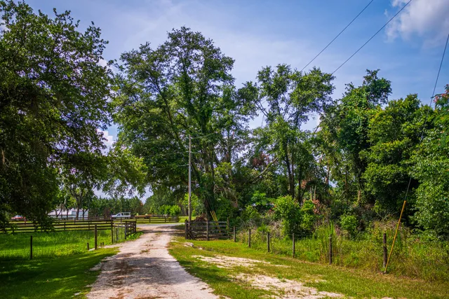 $335,000 | 252 County Road 252, Wellborn, FL 32094