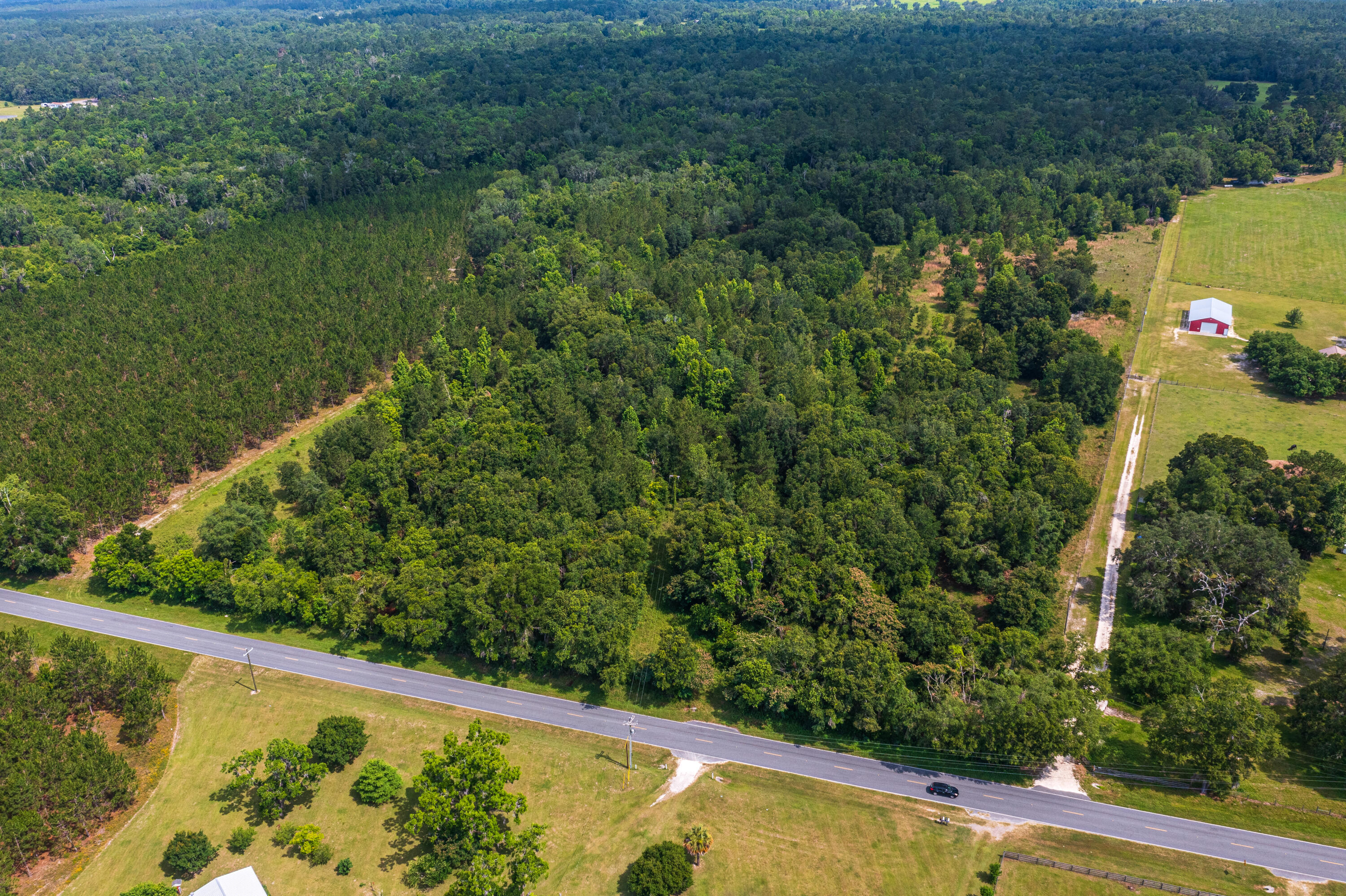 252 County Road 252 Wellborn, FL 32094 - Photo 42 of 75 Land in McAlpin FL (41 of 78)