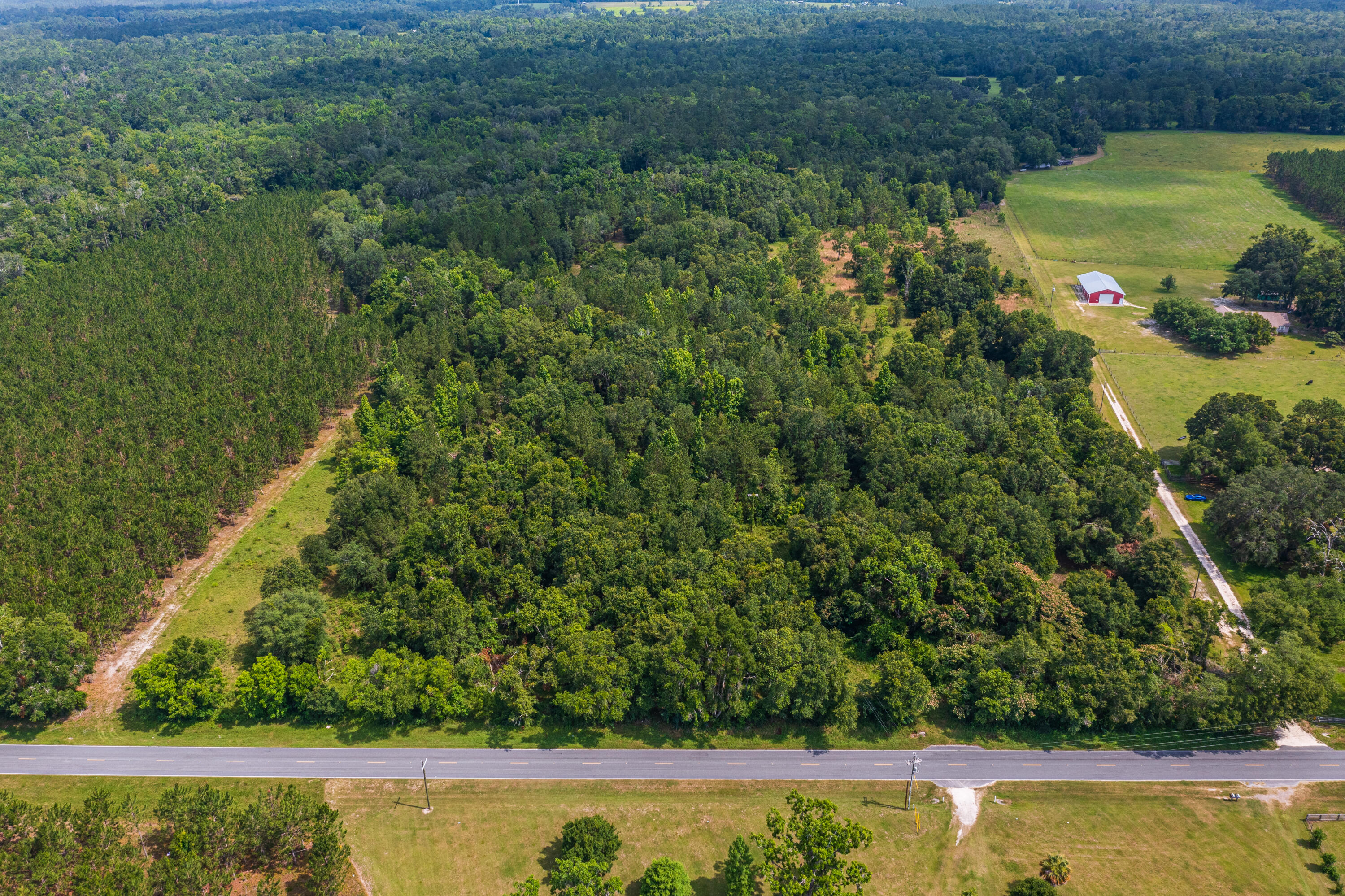 252 County Road 252 Wellborn, FL 32094 - Photo 43 of 75 Land in McAlpin FL (42 of 78)